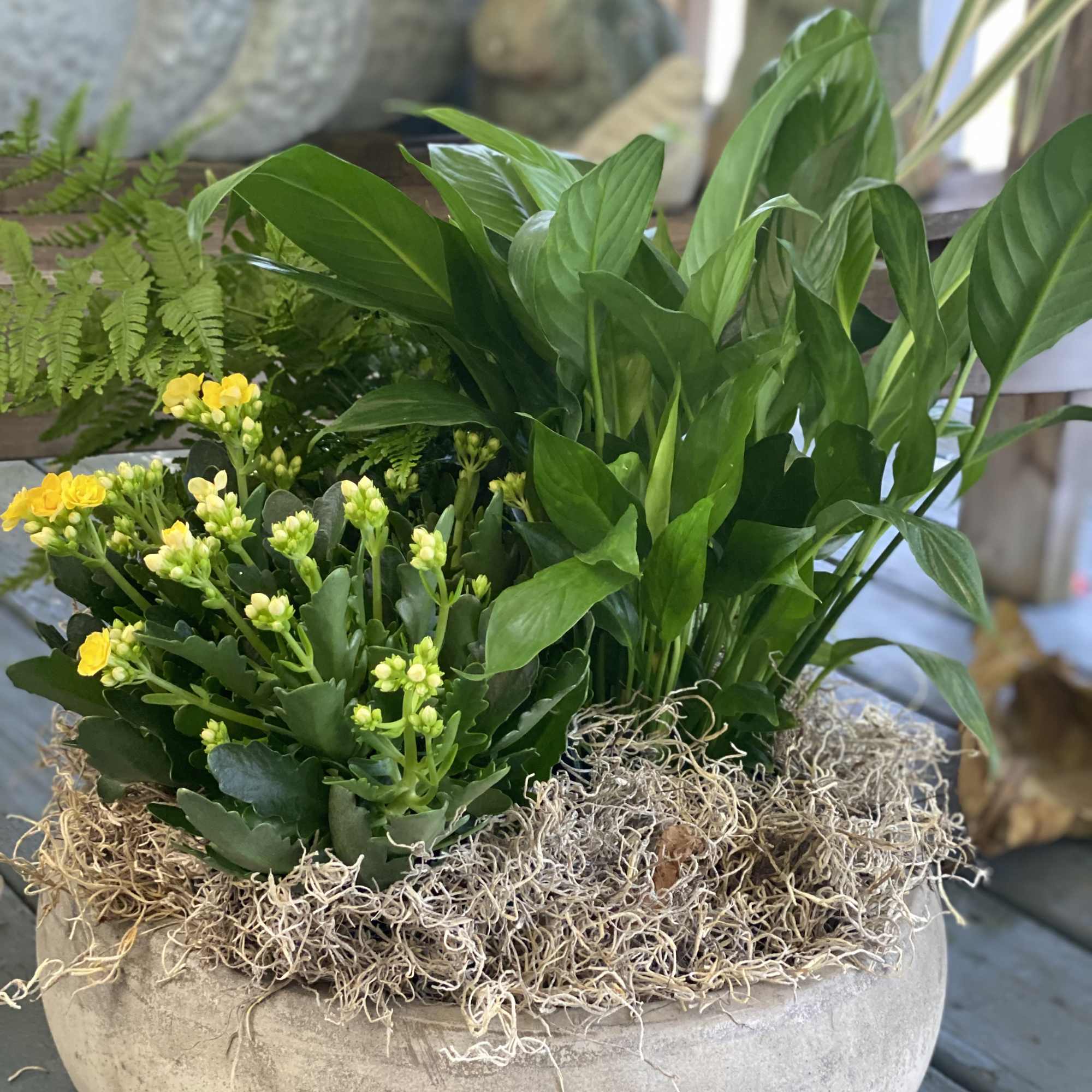 A Lasting Gift of Natural Beauty
Discover the "Delightful Garden," the perfect choice