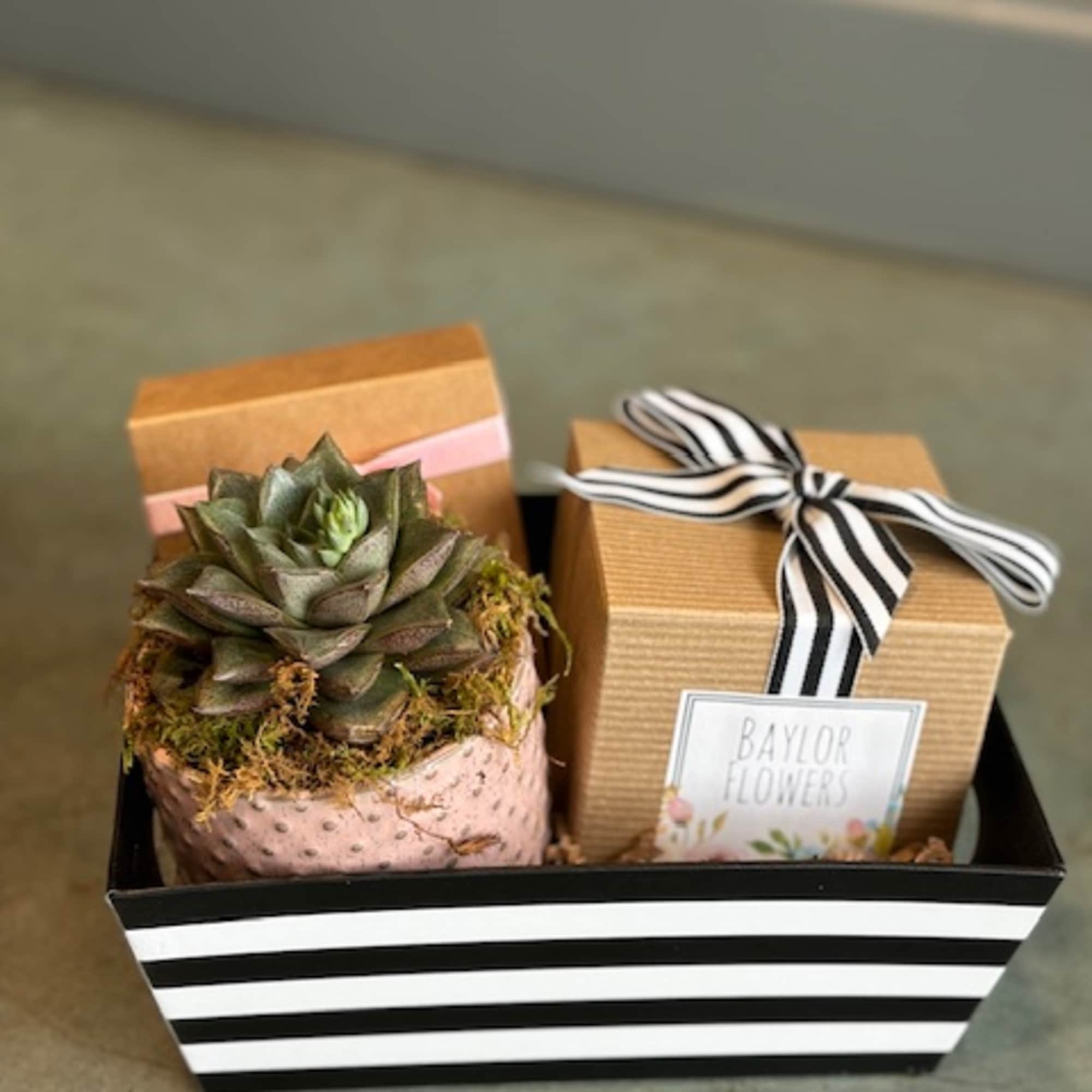This sweet bundle is perfect for the plant lover in your life!