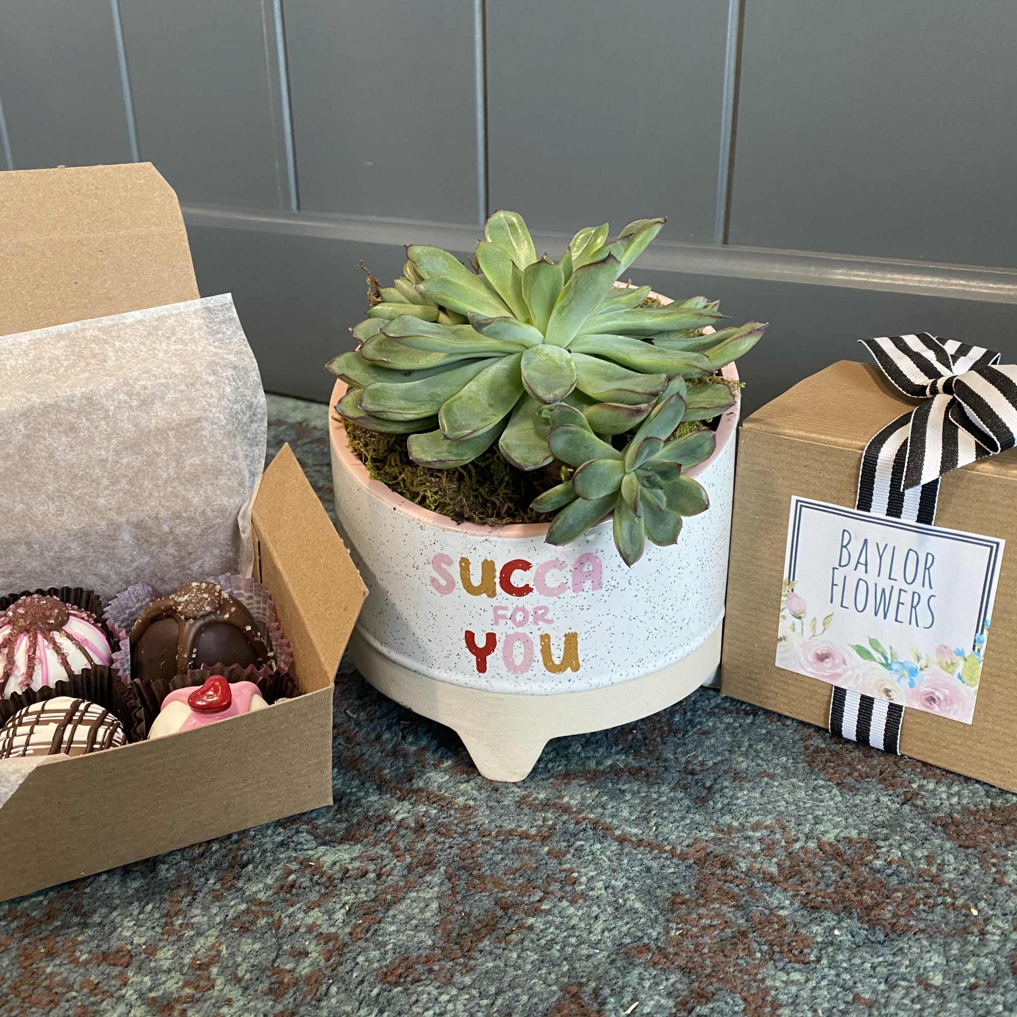 This sweet bundle is perfect for the plant lover in your life!