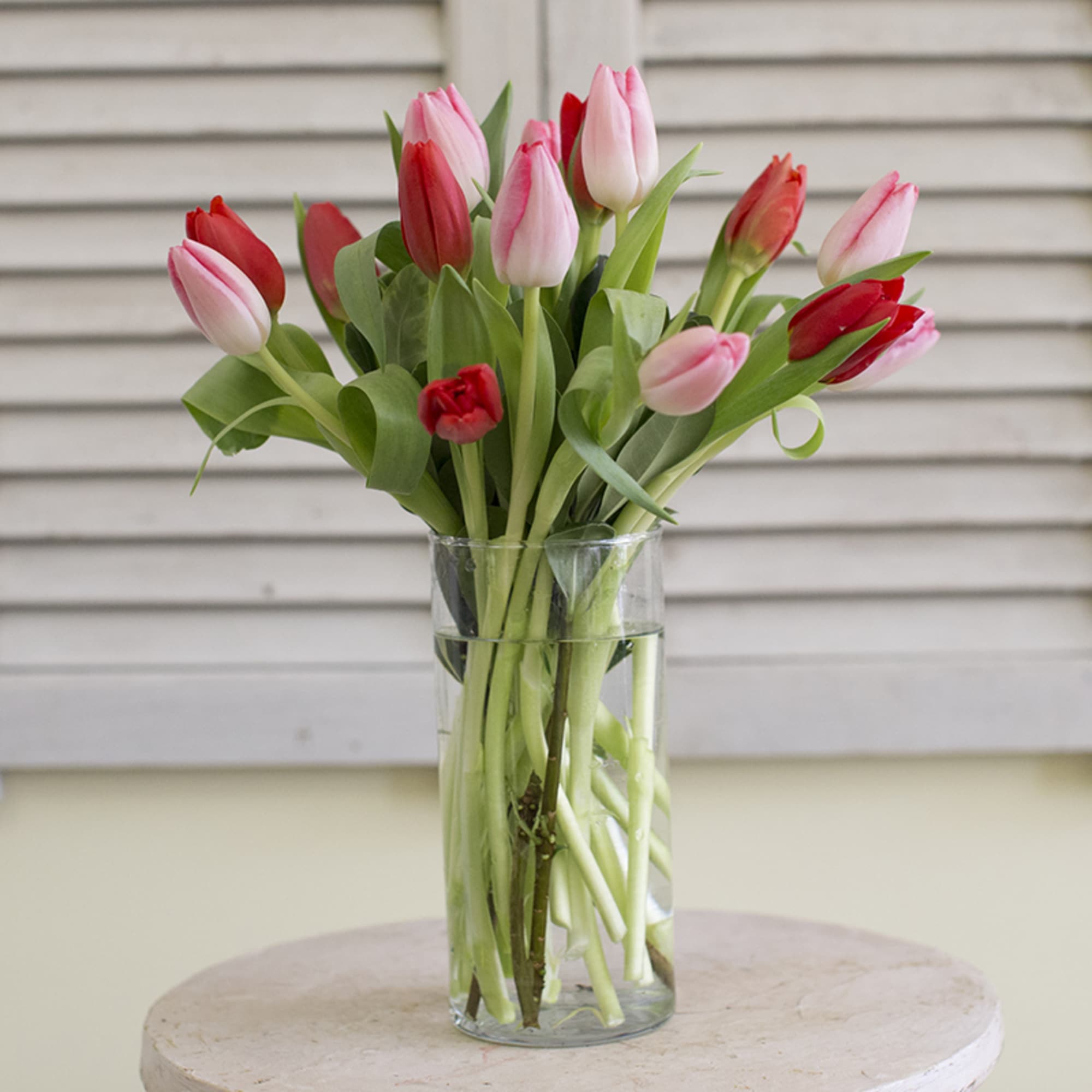 Twenty pretty pink and red tulips. (also available in other colors)
Deluxe 30