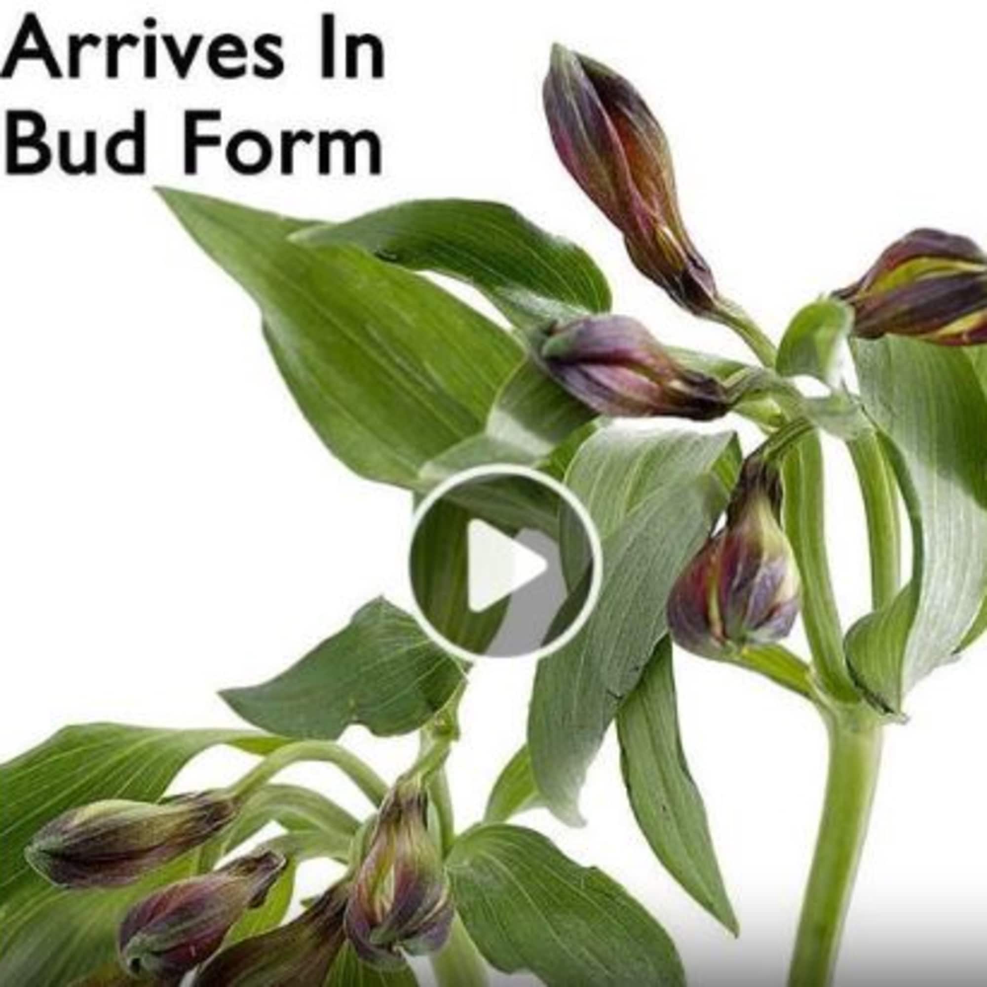 Lovely memories are made with thoughtful gifts for the ones we care