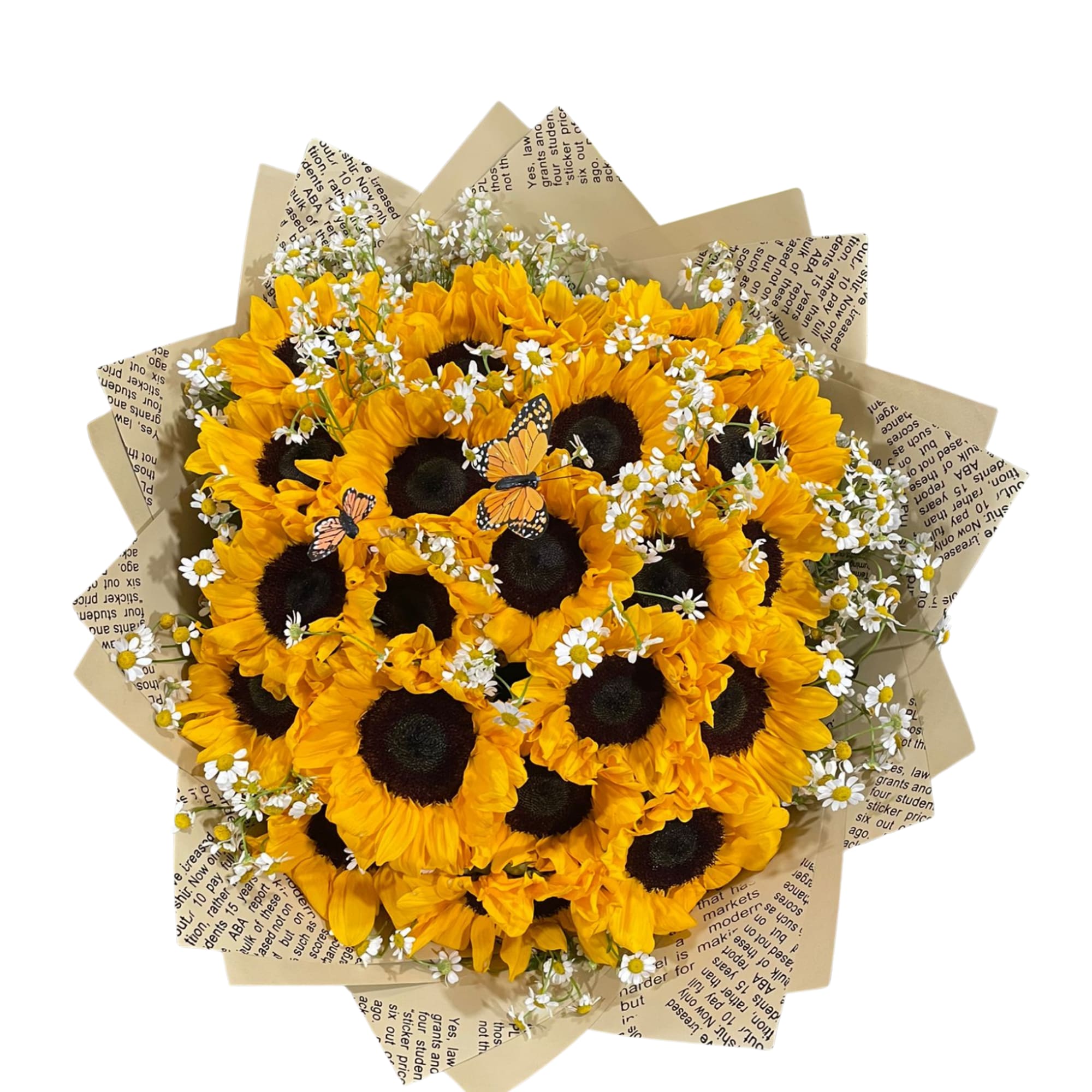 This marvelous bouquet made up of sunflowers with chamomile flowers wrapped with