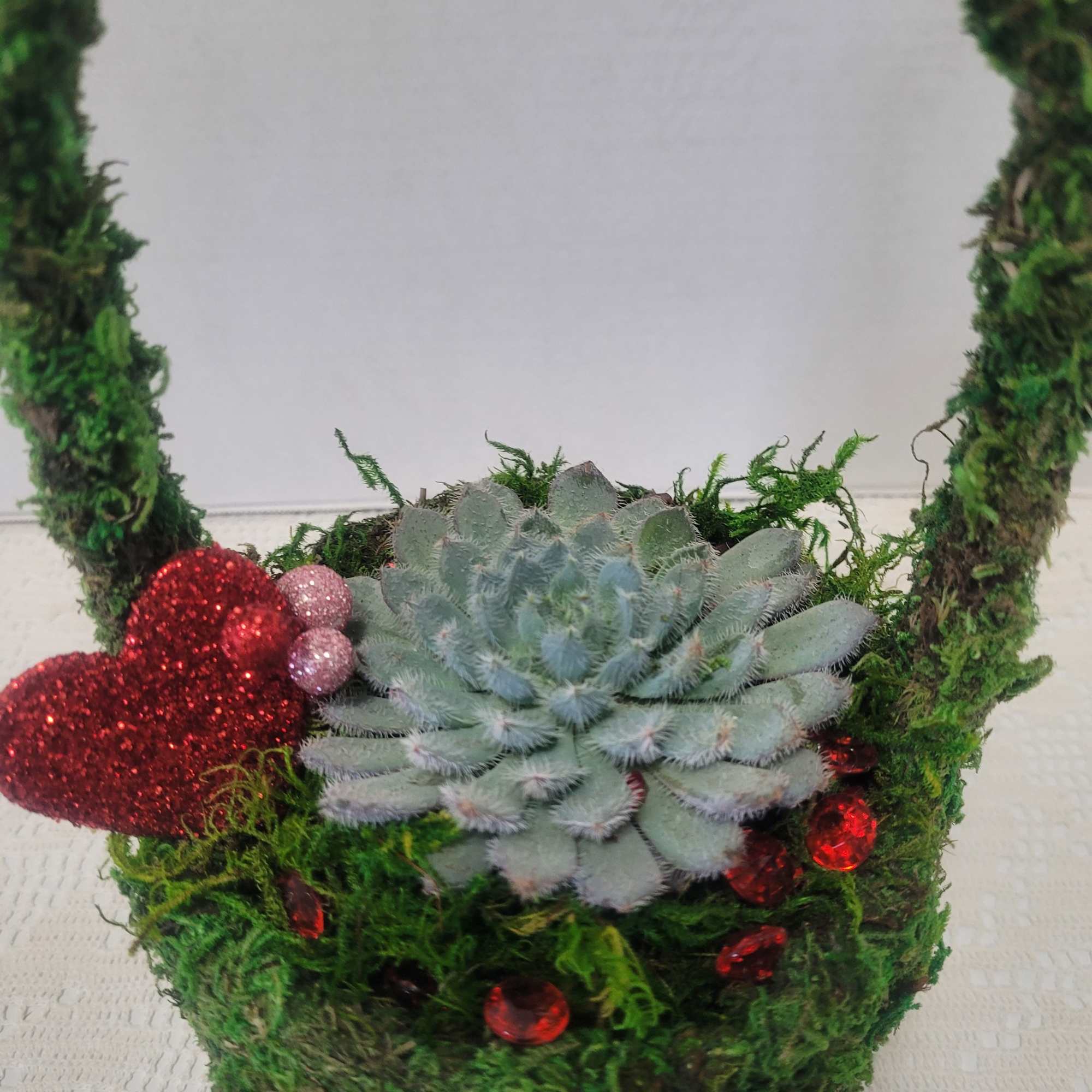 A fun container planted with a unique Escheveria. The common name is