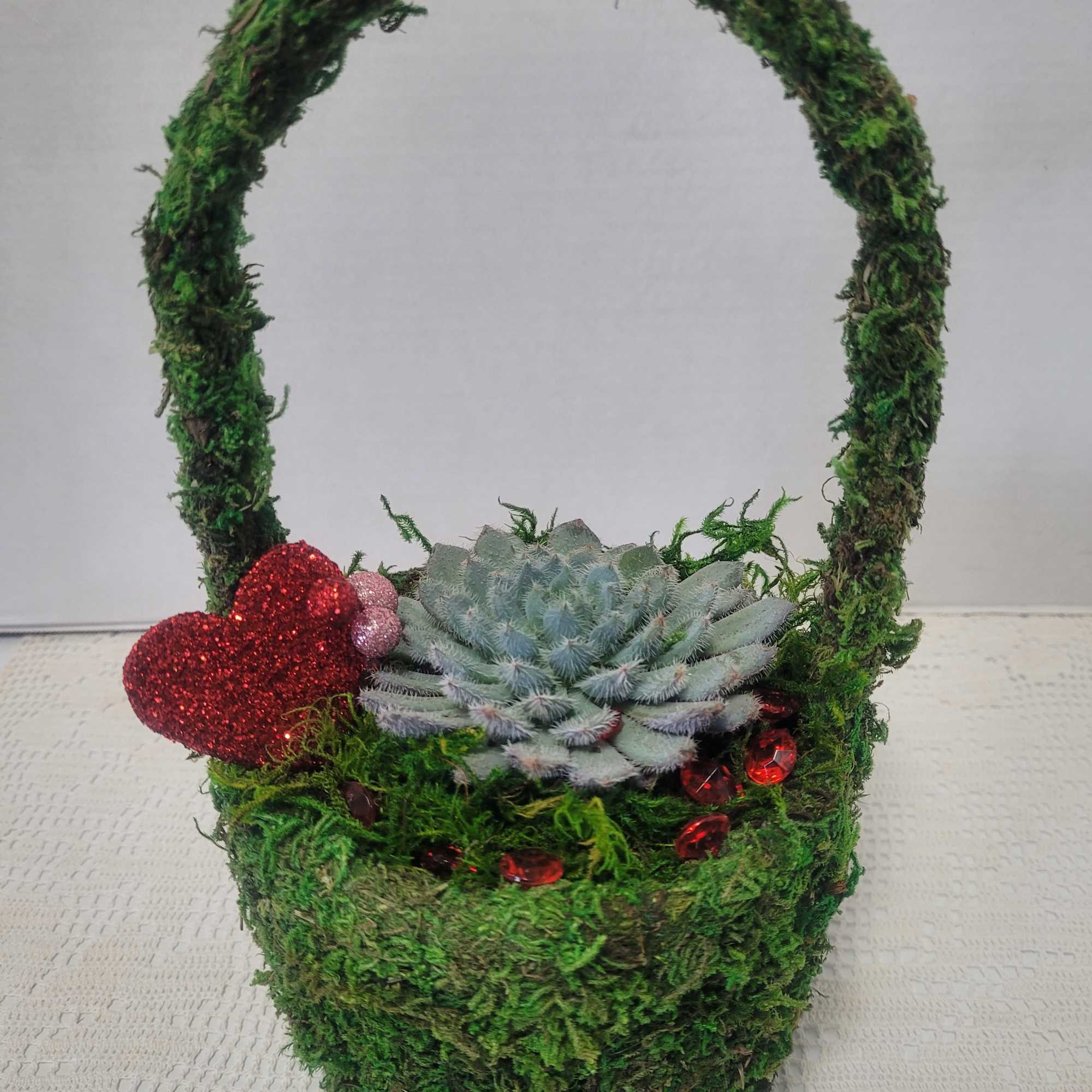 A fun container planted with a unique Escheveria. The common name is