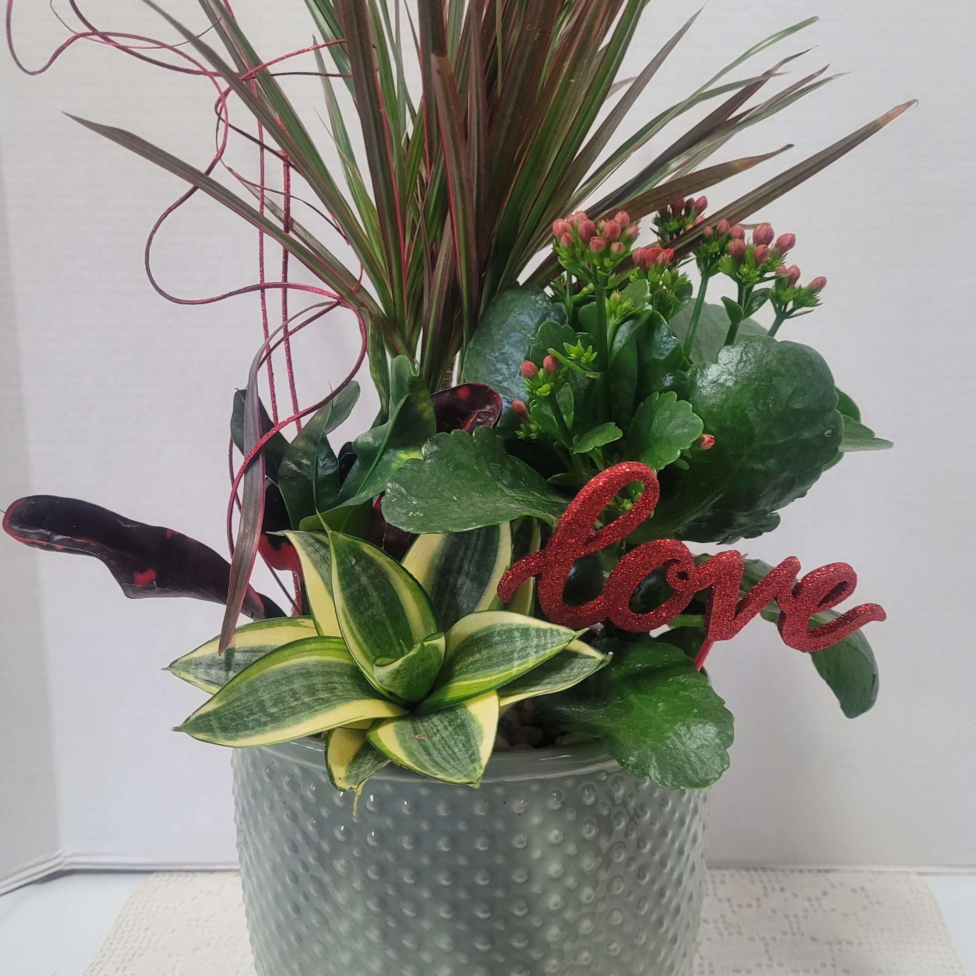 A sage green ceramic container planted with a variety of hardy houseplants.