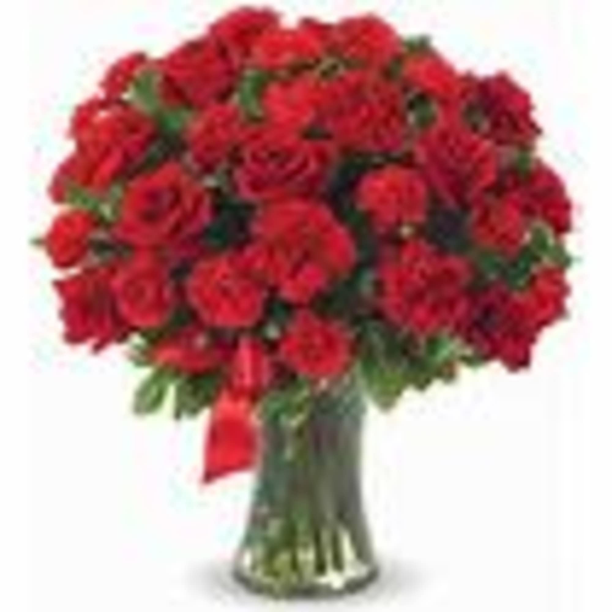 BEAUTIFUL RED ROSES AND RED CARNATIONS ARRANGED TIGHTLY IN A BEAUTIFUL CINCHED