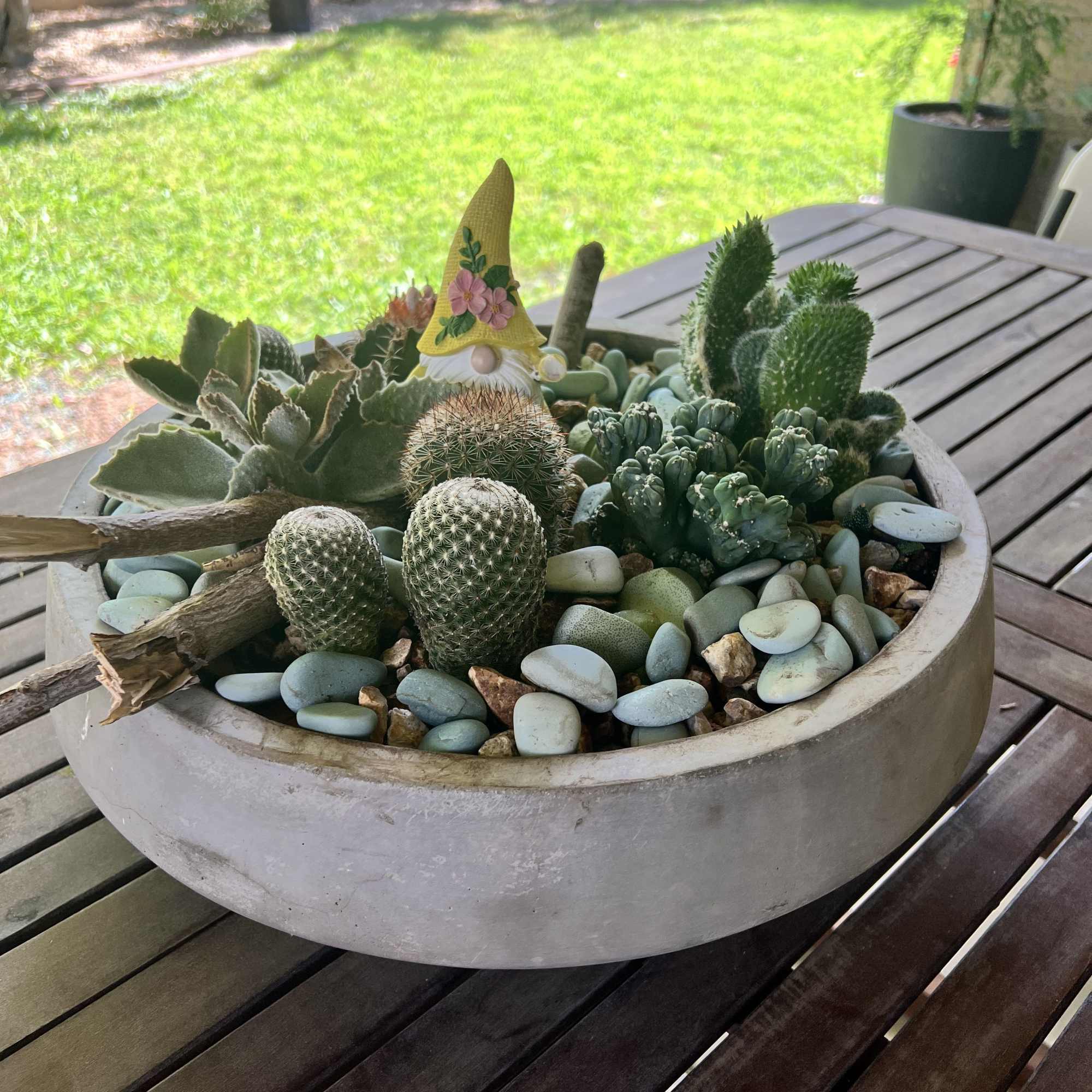 Cactus garden