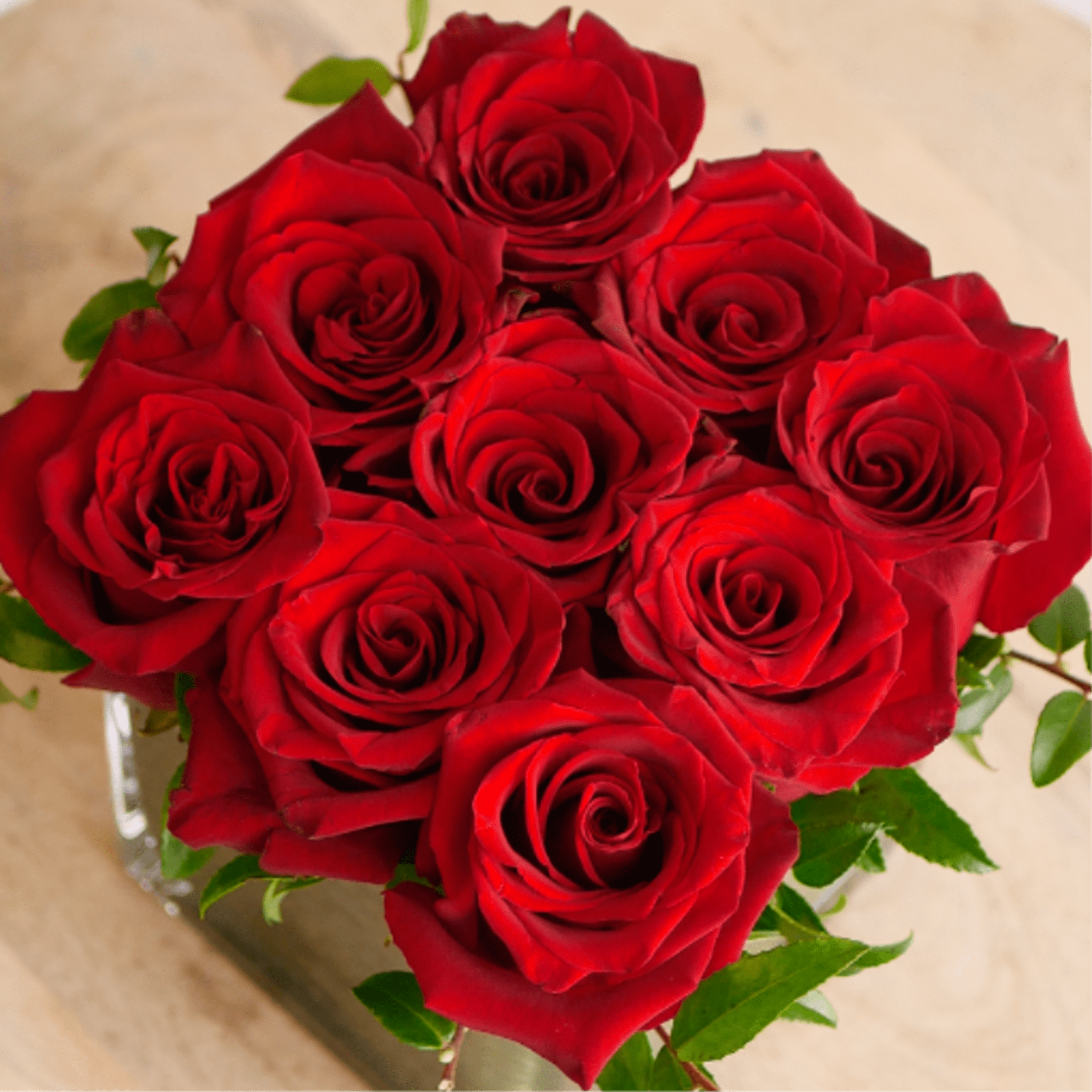 This romantic arrangement showcases nine premium red roses, artfully styled with lush
