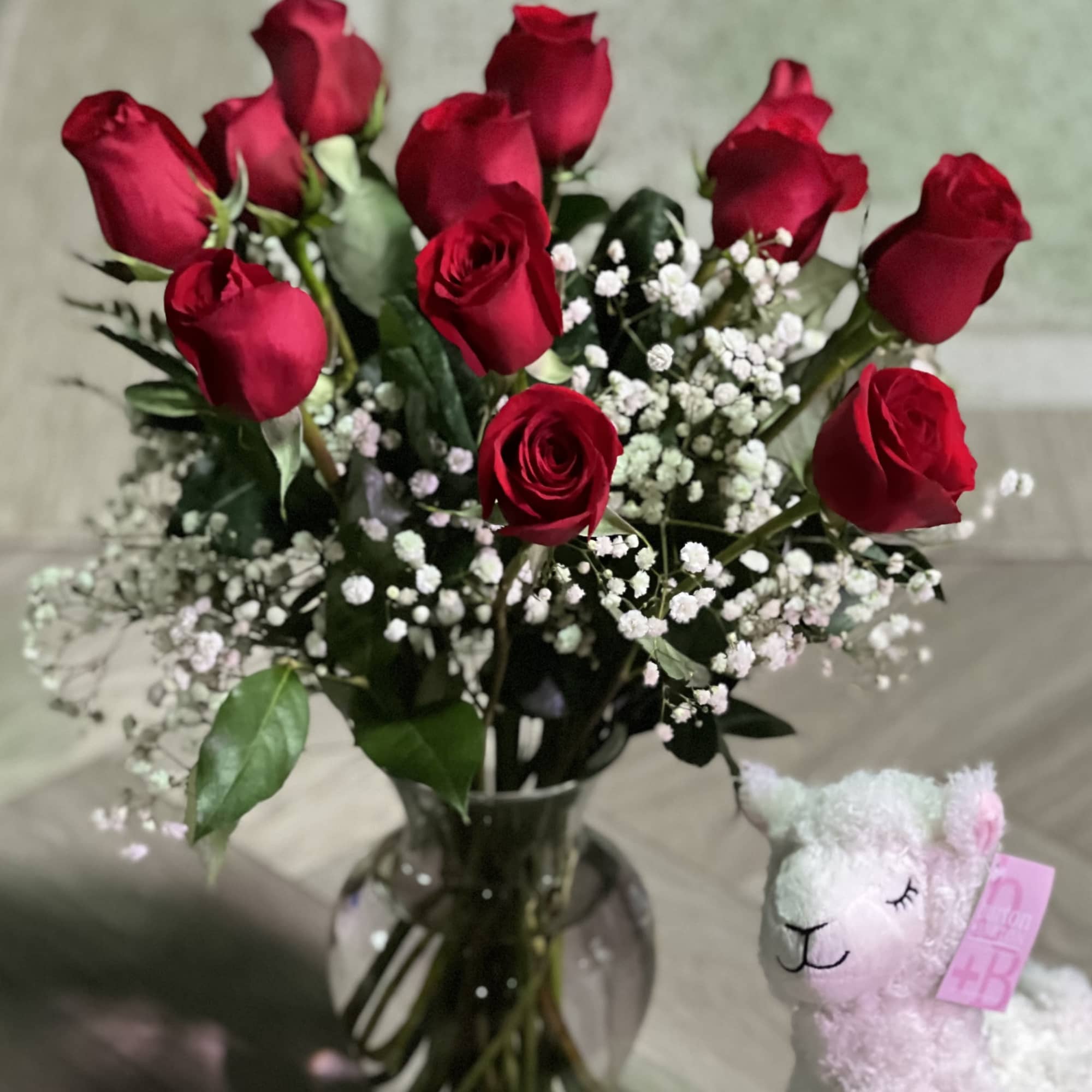 Llama love Bundle starts with 1 dozen red roses with baby's breath