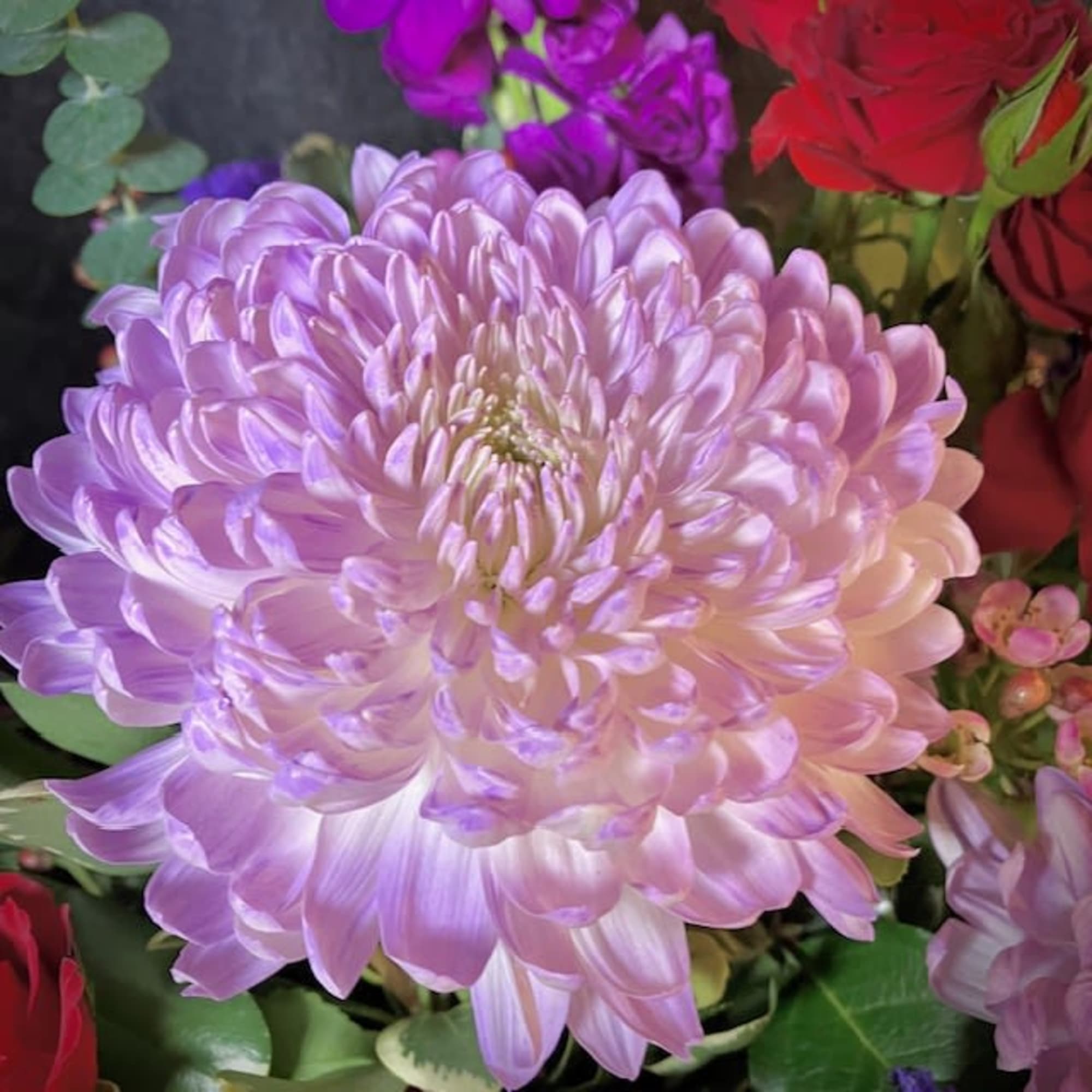 Send the gift of love and passion with this beautiful and unique