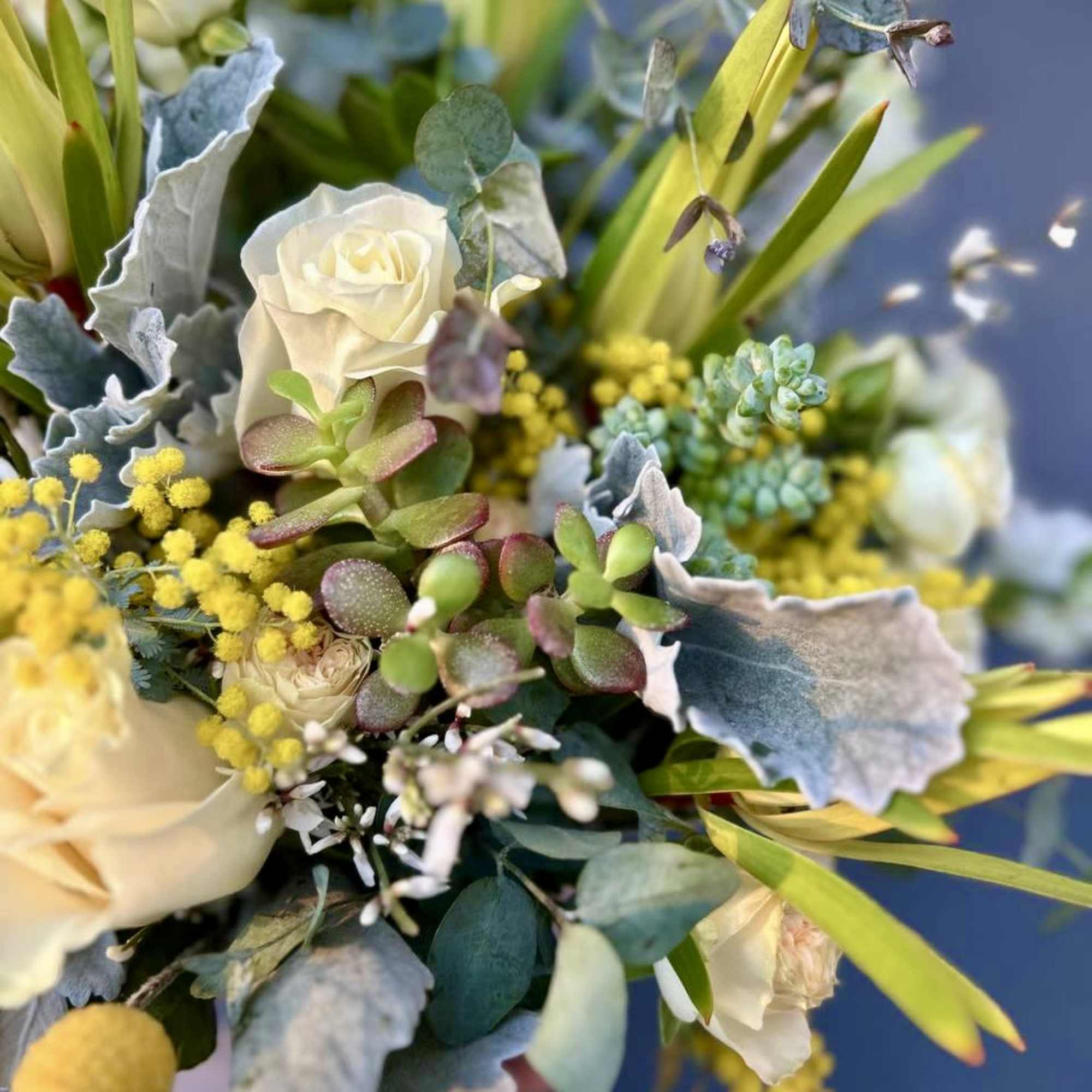 A beautiful velvet blue logo box full of gorgeous flowers. Large and