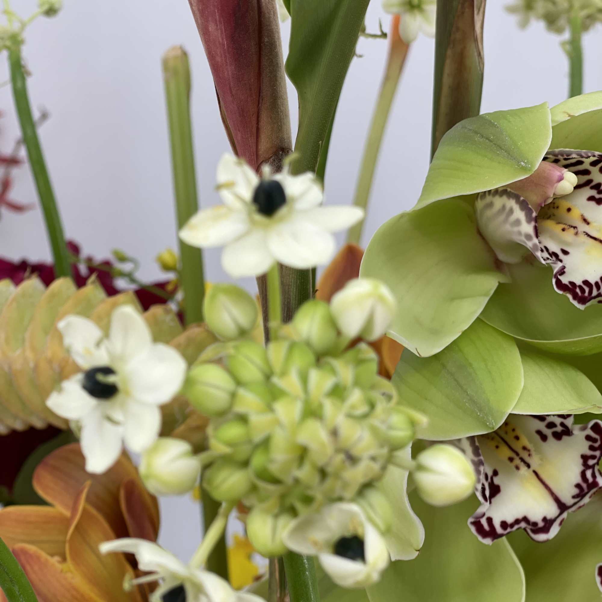 A luxury floral arrangement designed to impress for any occasion or events