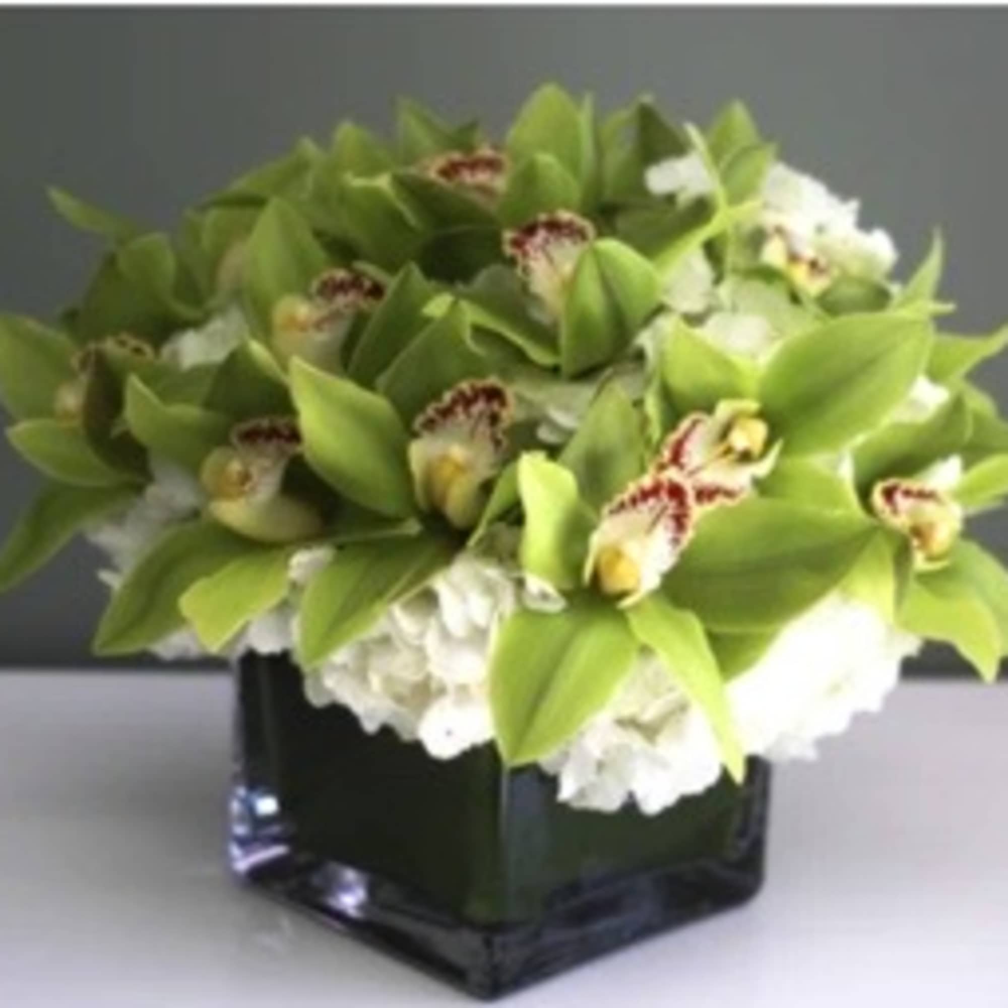 Green Cymbidium Orchids and Hydrangea in a square glass vase. Subject to