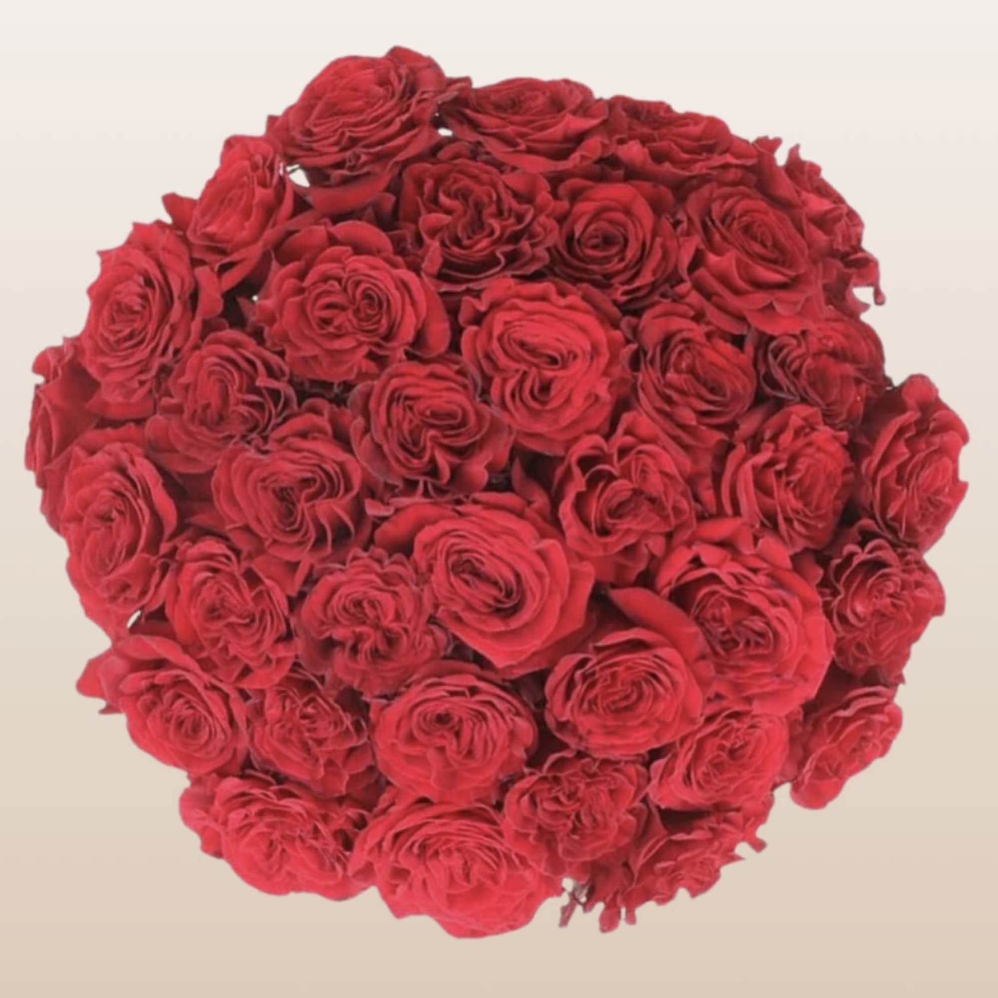 The Crimson Hearts Arrangement is a breathtaking display of premium Hearts roses