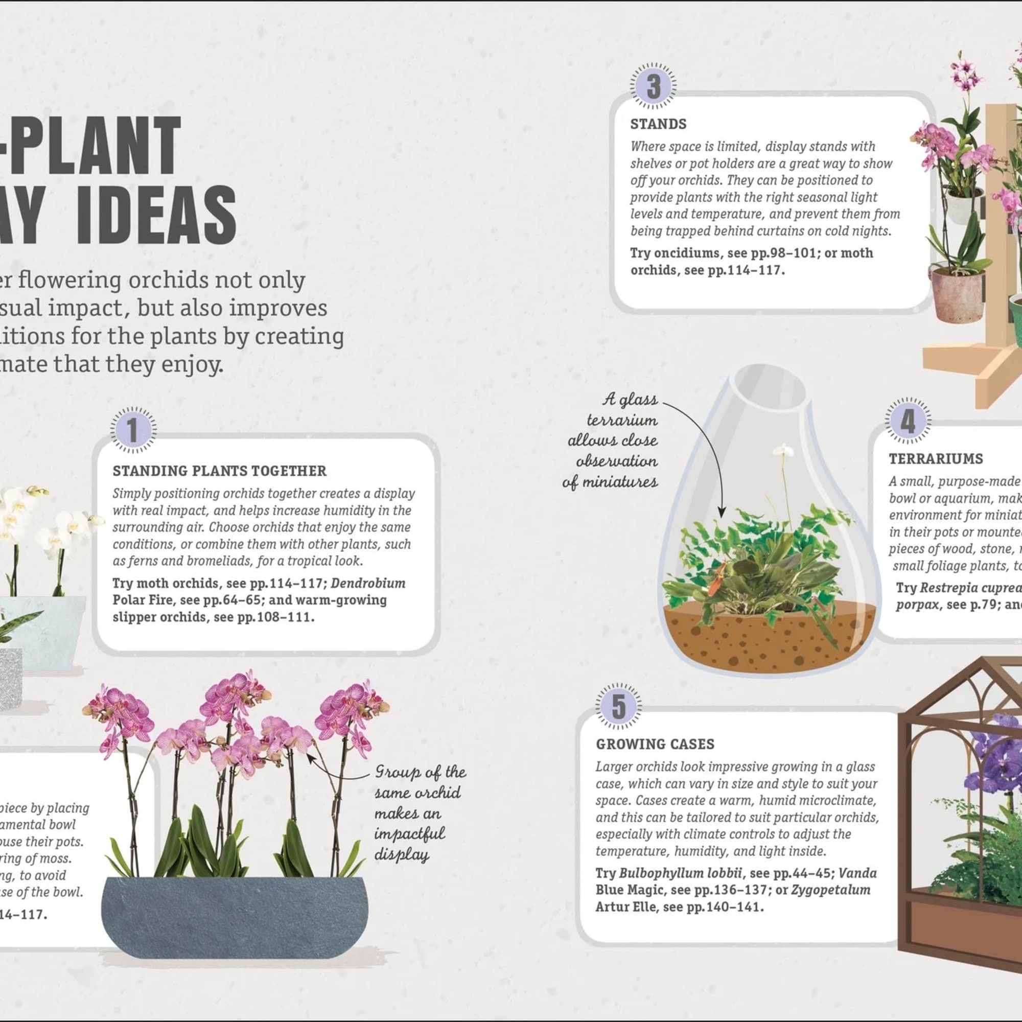 Did you know that many orchids hate being in direct sunlight? Or