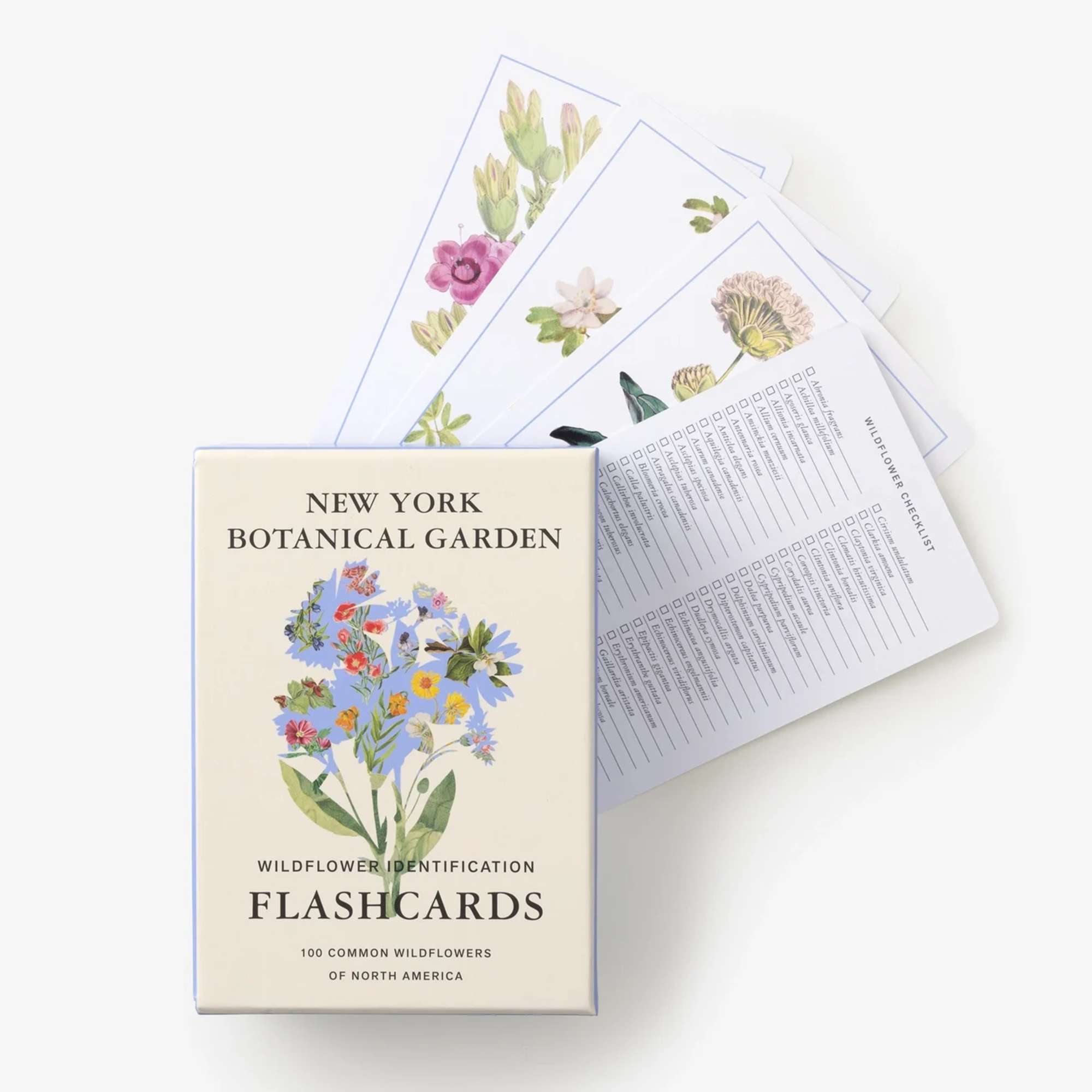 New York Botanical Garden Wildflower Identification Flashcards
Do you know when to look