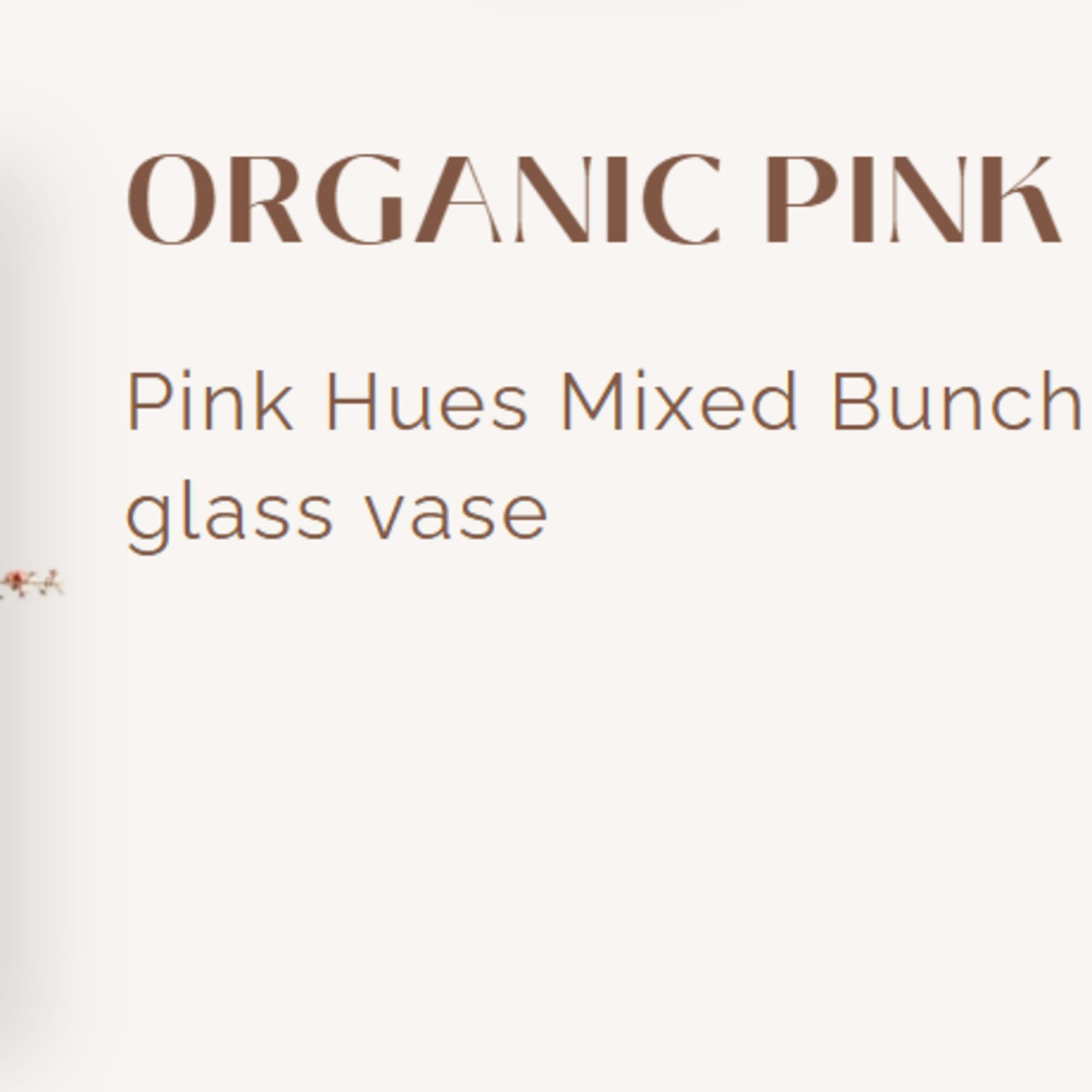 Organic Pink Flamingo

Effortless, airy, and beautifully untamed, Organic Pink Flamingo is a