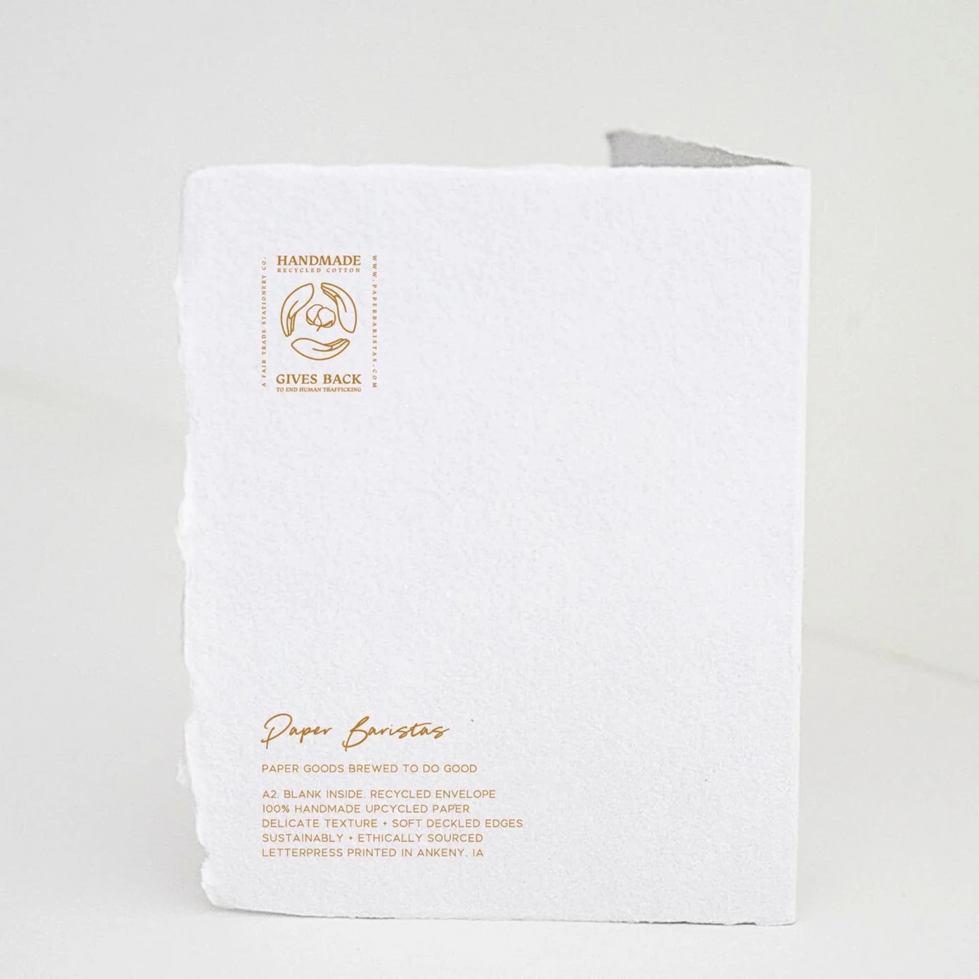 Have A Novel Birthday | Book Store Greeting Card