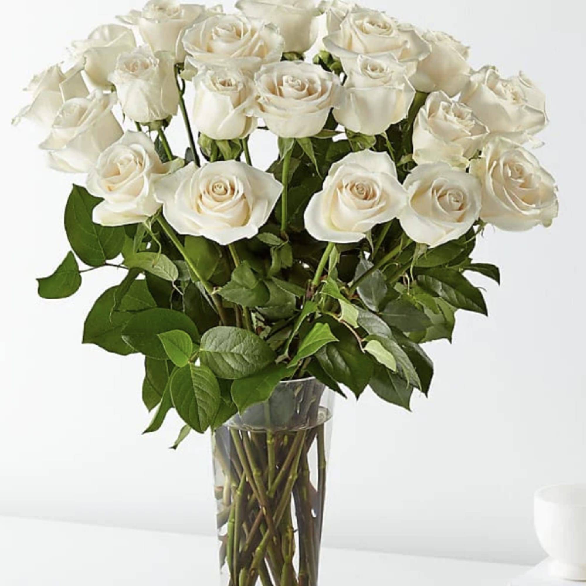 White roses are elegant, luminous, and beautifully accent any room.