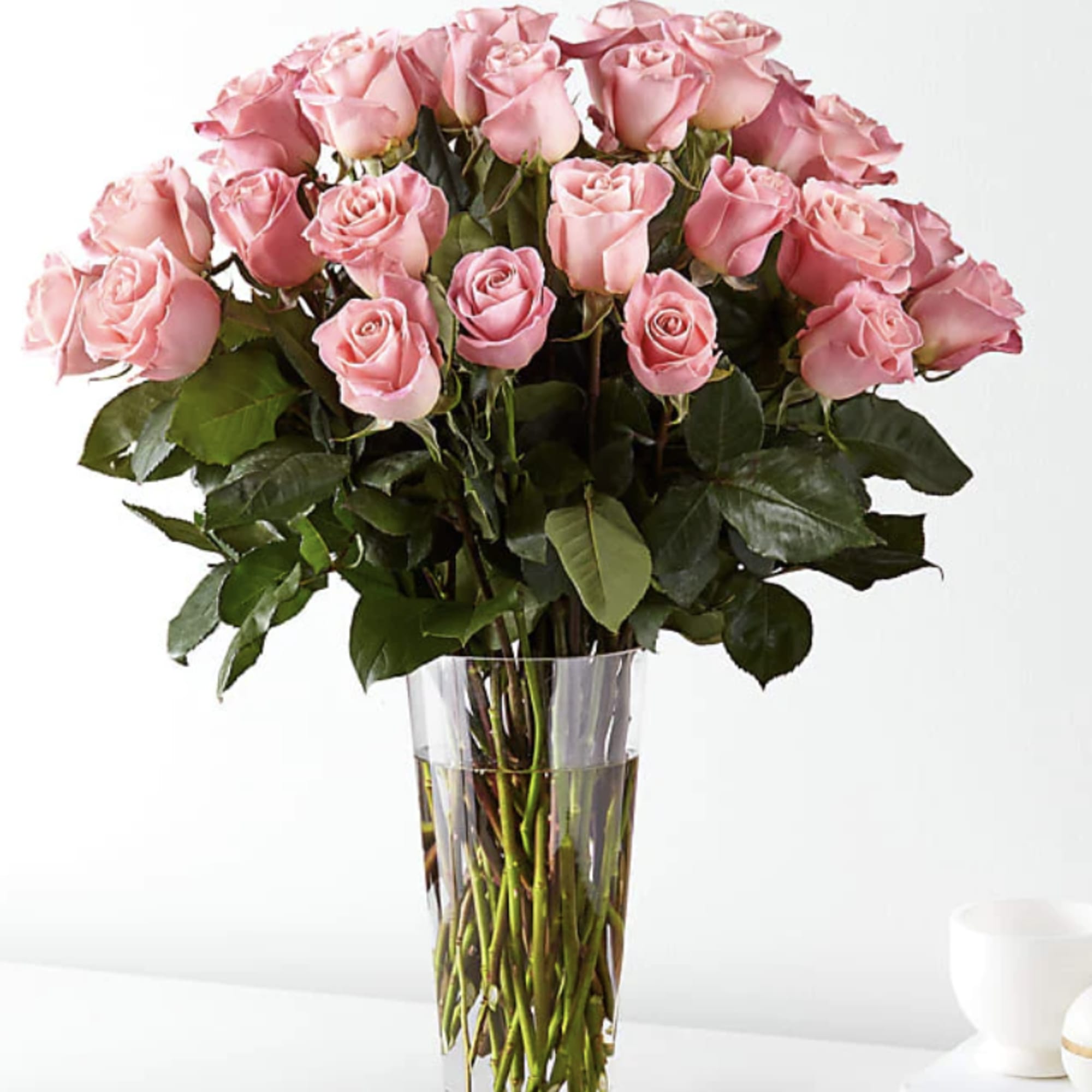 Enjoy the classic beauty of the rose with a playful