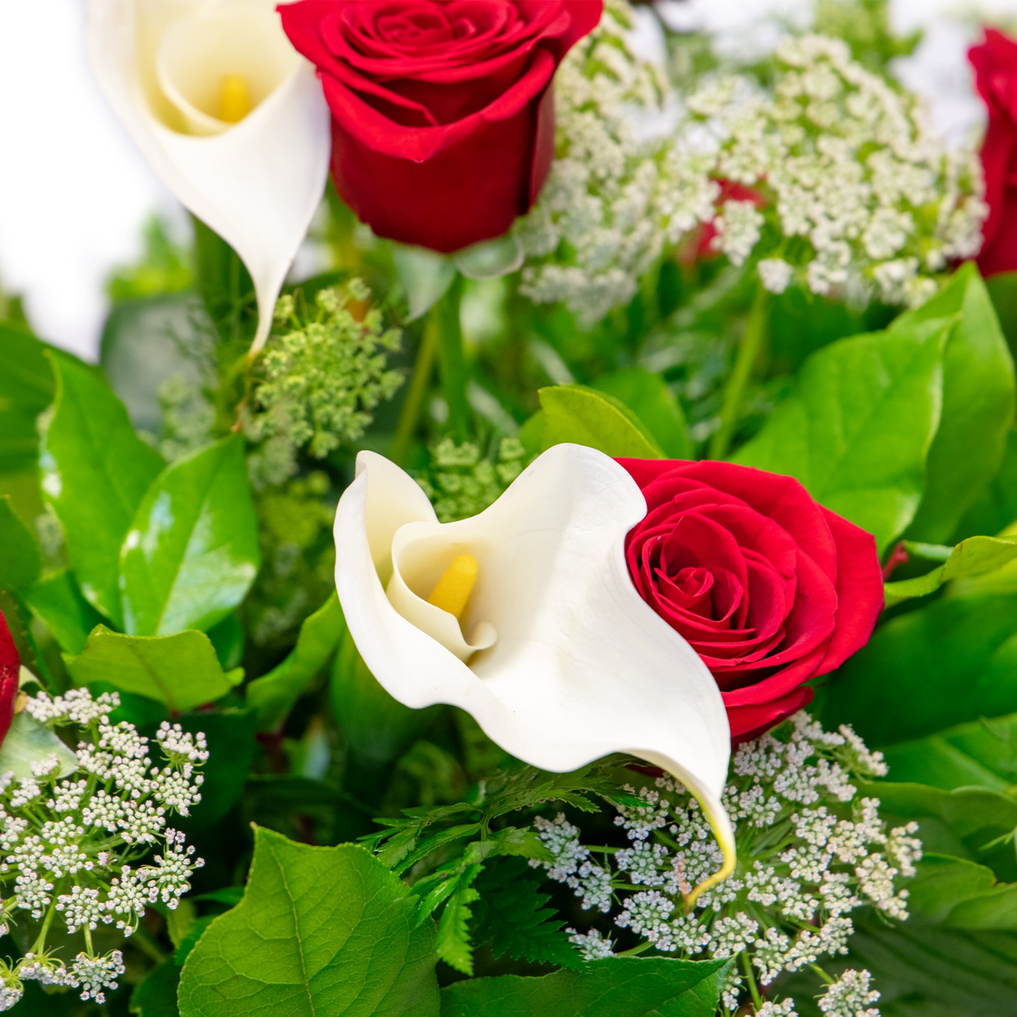 A classic combination of white Calla Lilly's and bright red Roses. Callas