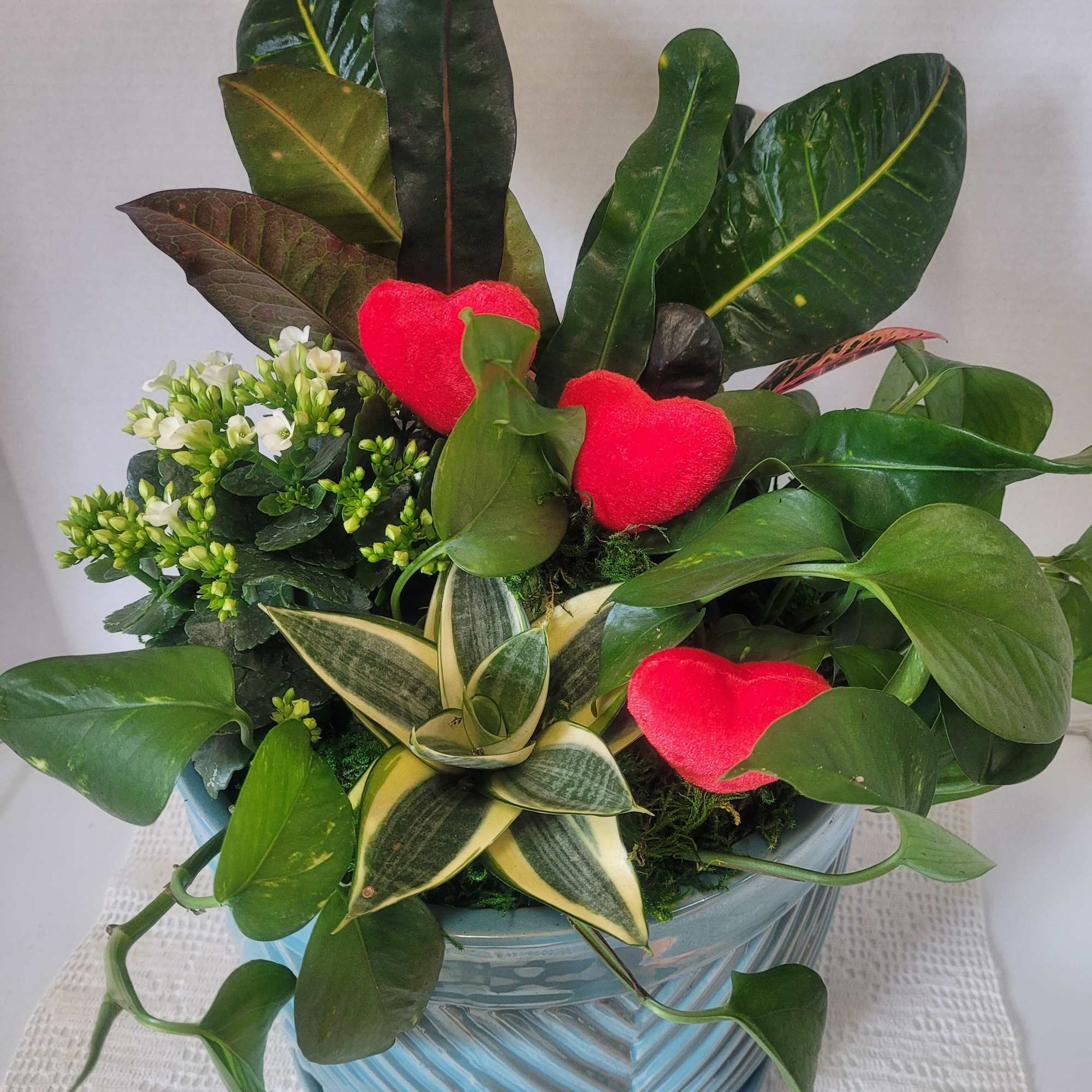 A beautiful mix of houseplants that will add warmth to your space.