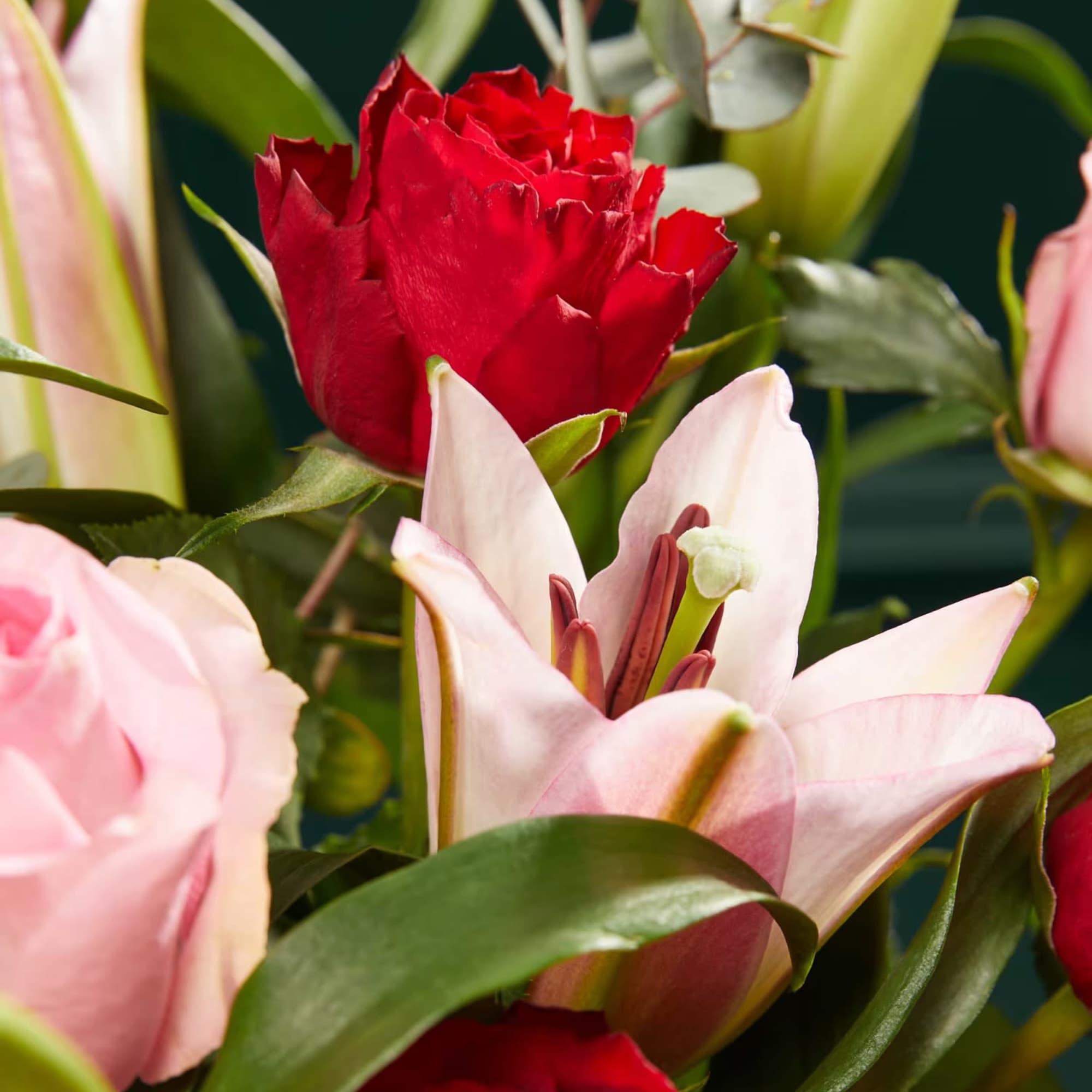 Indulge in the timeless elegance of the Scarlet Embrace Bouquet, a breathtaking