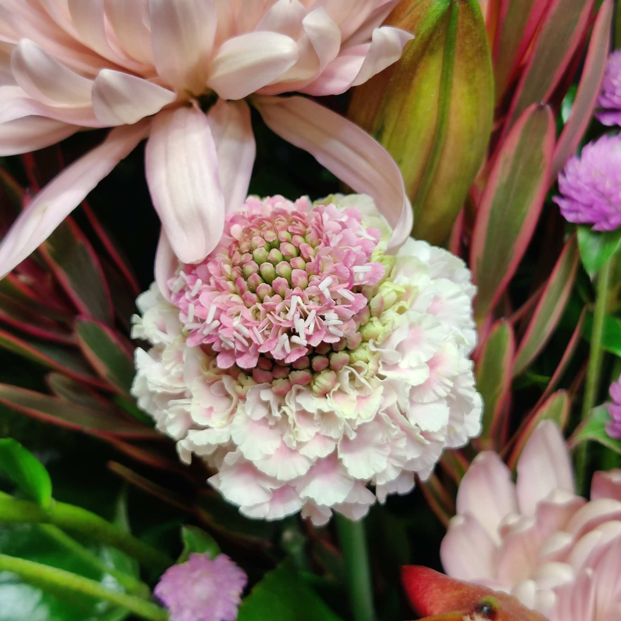 Gorgeous premium Royal lilies, branches and clover will lift your spirits. 