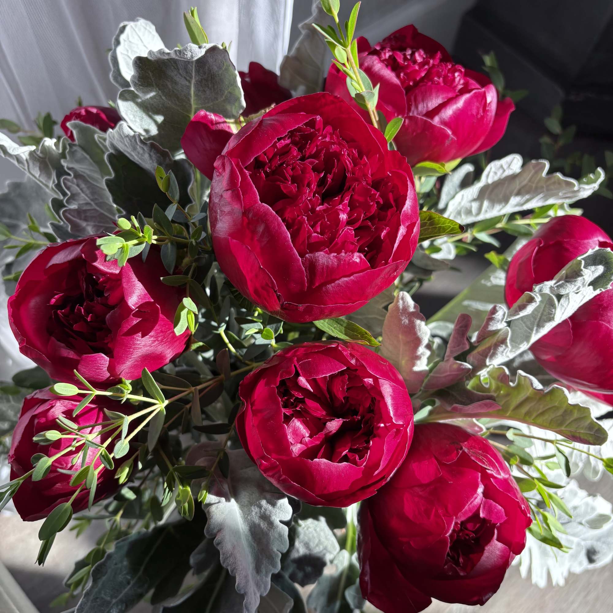 Dozen of peonies. White - burgundy or pink  please write on