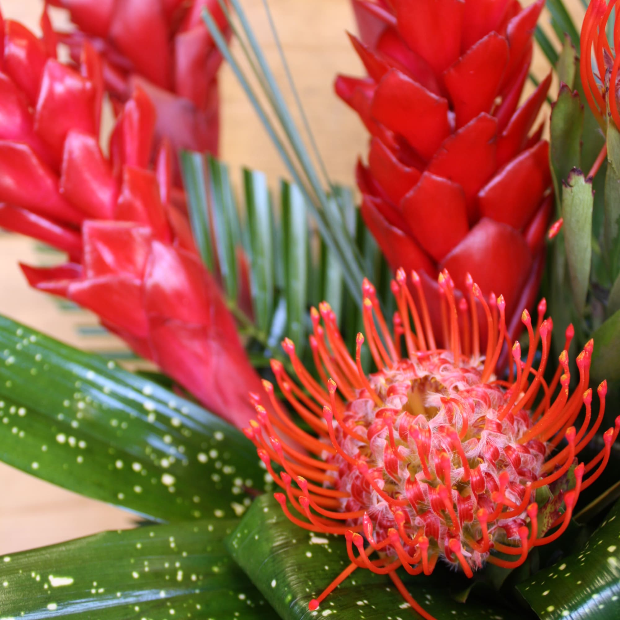 Valentine's Day 2019 Collection, a stunning gold vase filled with red lush