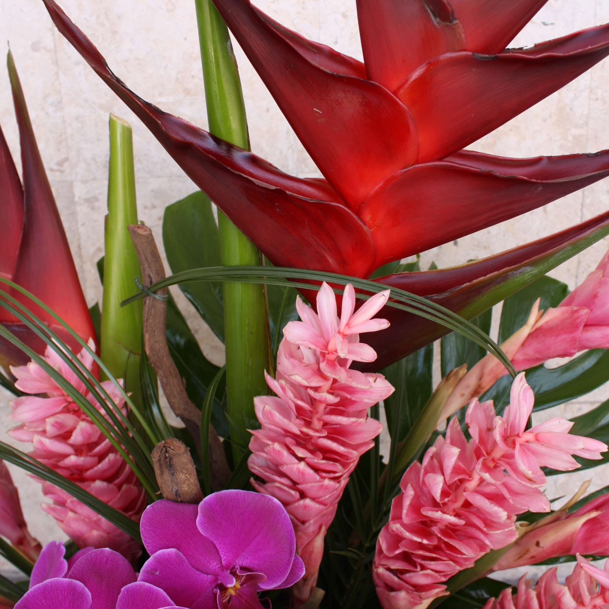 Stunning tropical beauty.