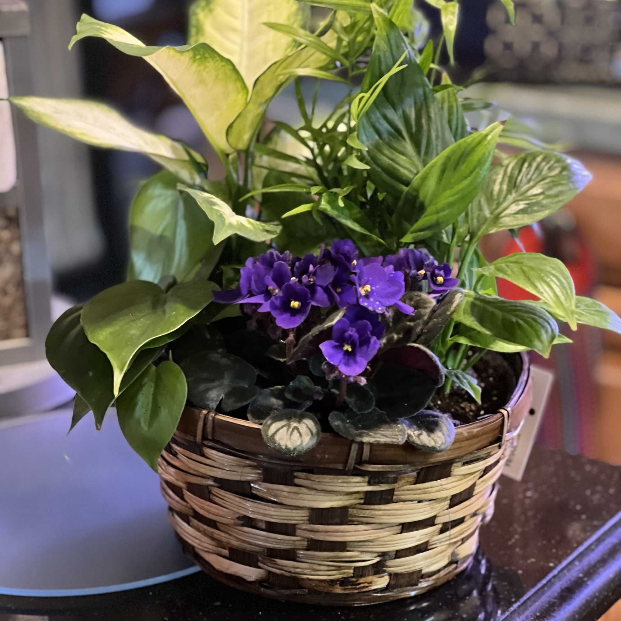 Our Blooming Basket is just the right size for tabletop or coffee