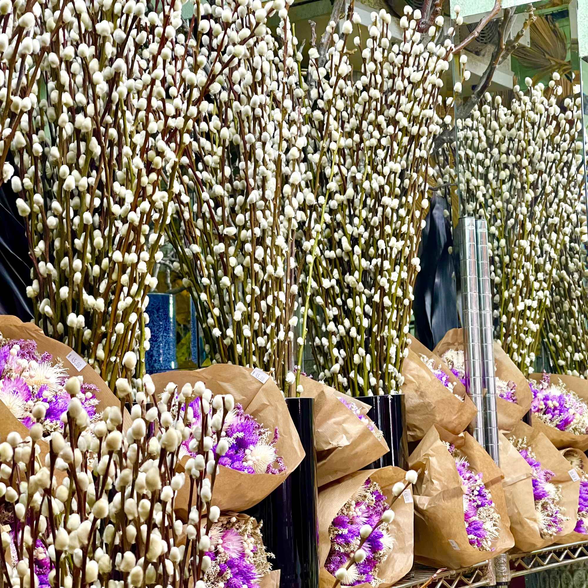 Premium silver tip pussy willow branches from Oregon in a sleek black