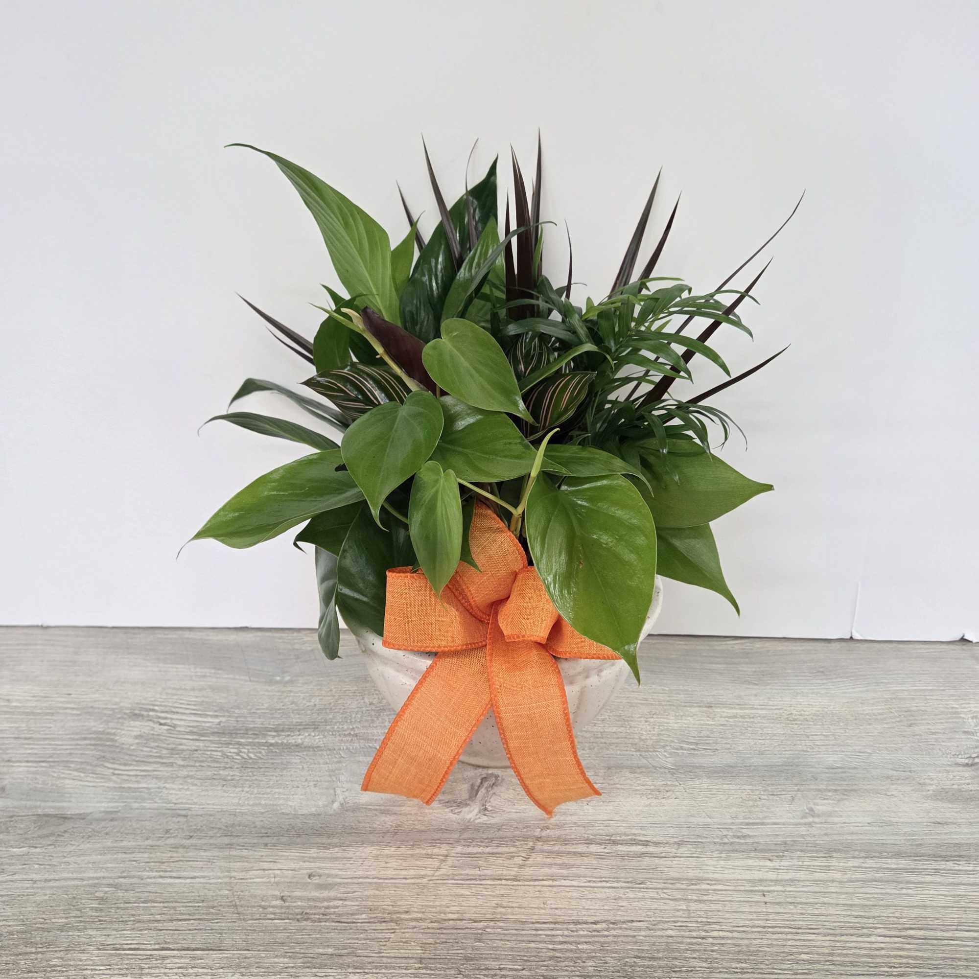 A lush combination of green plants is an exquisite gift. It's a