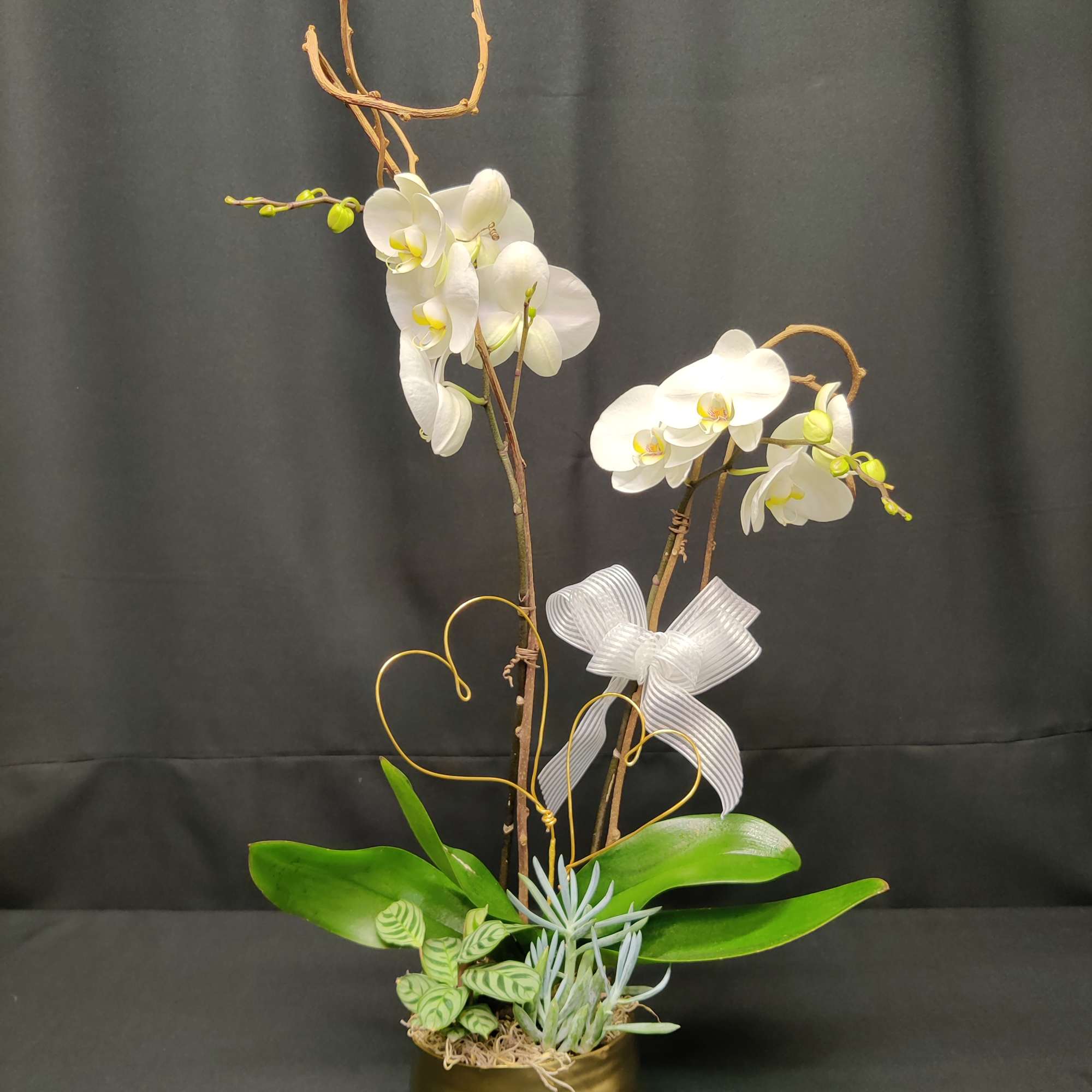 Phalaenopsis moth orchid plant, potted and adorned with golden hearts.  Stunning.