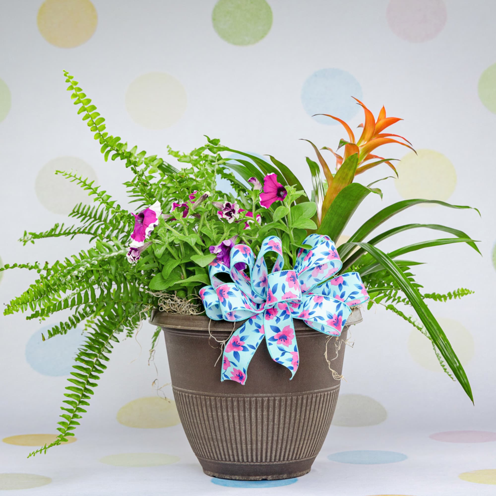 Send this beautiful 8'' Medium Patio Pot Planter mixed with outdoors plants