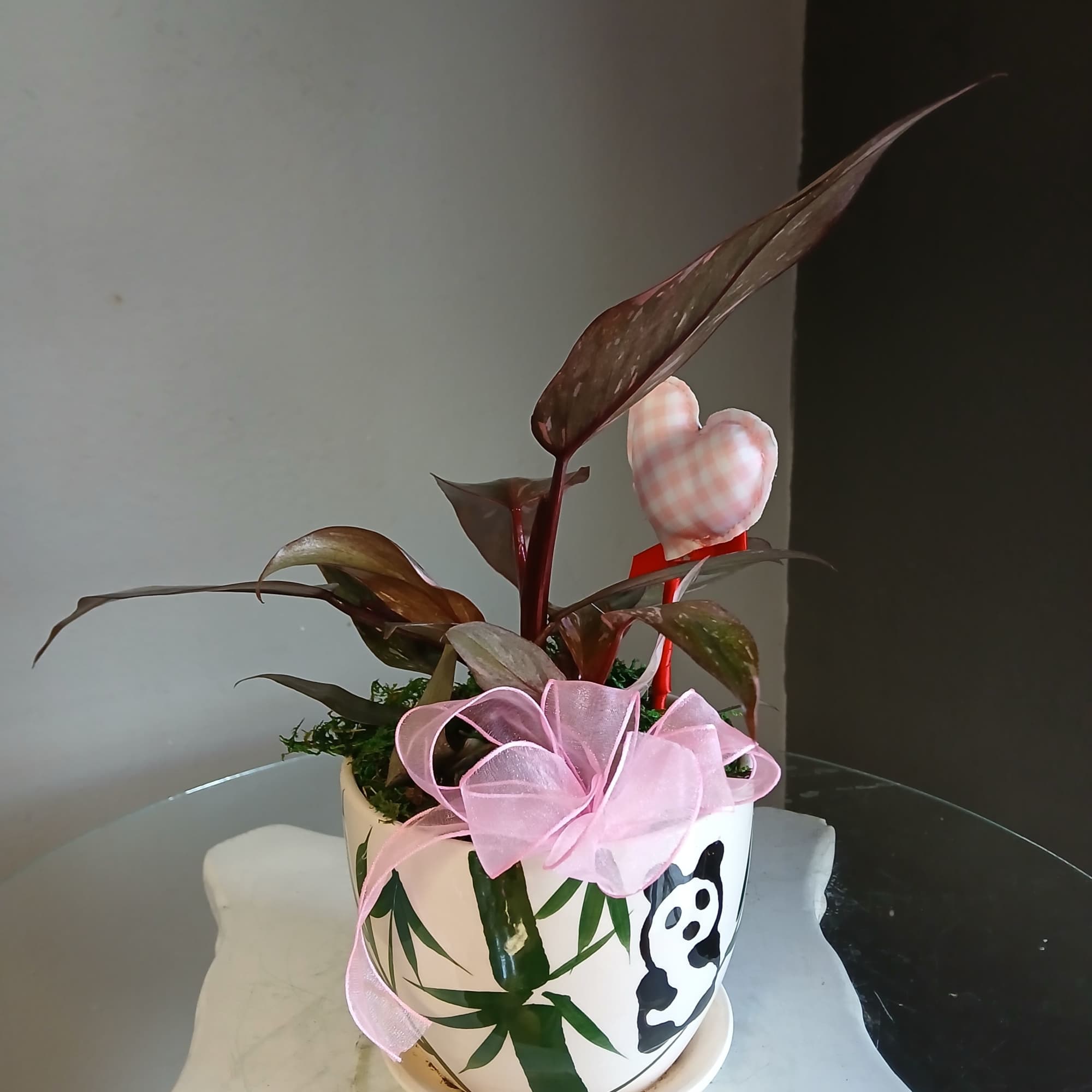 A small, gorgeous in colour philodendron. Decorated in a light pink bow