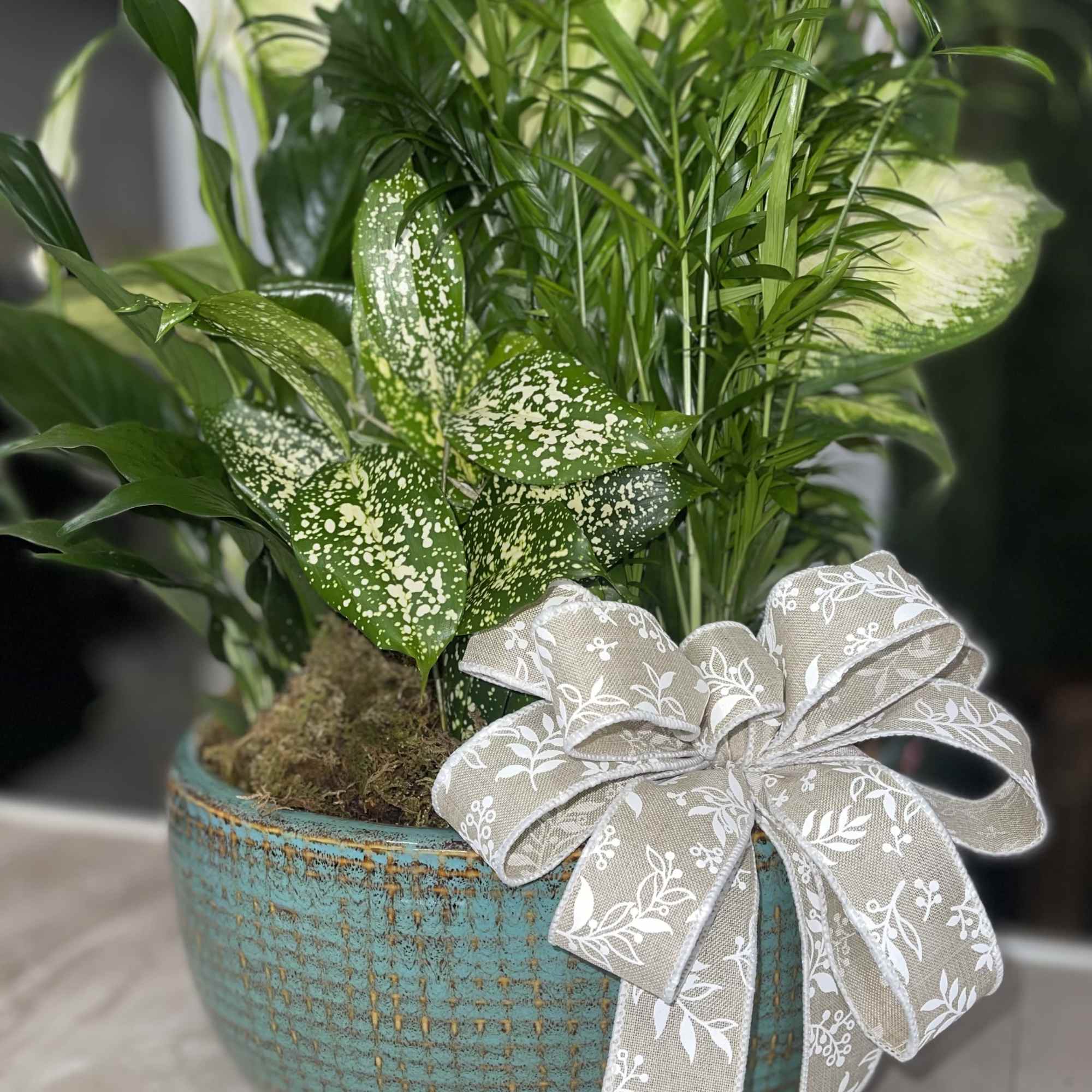 Who says you need to go outside to enjoy the natural beauty