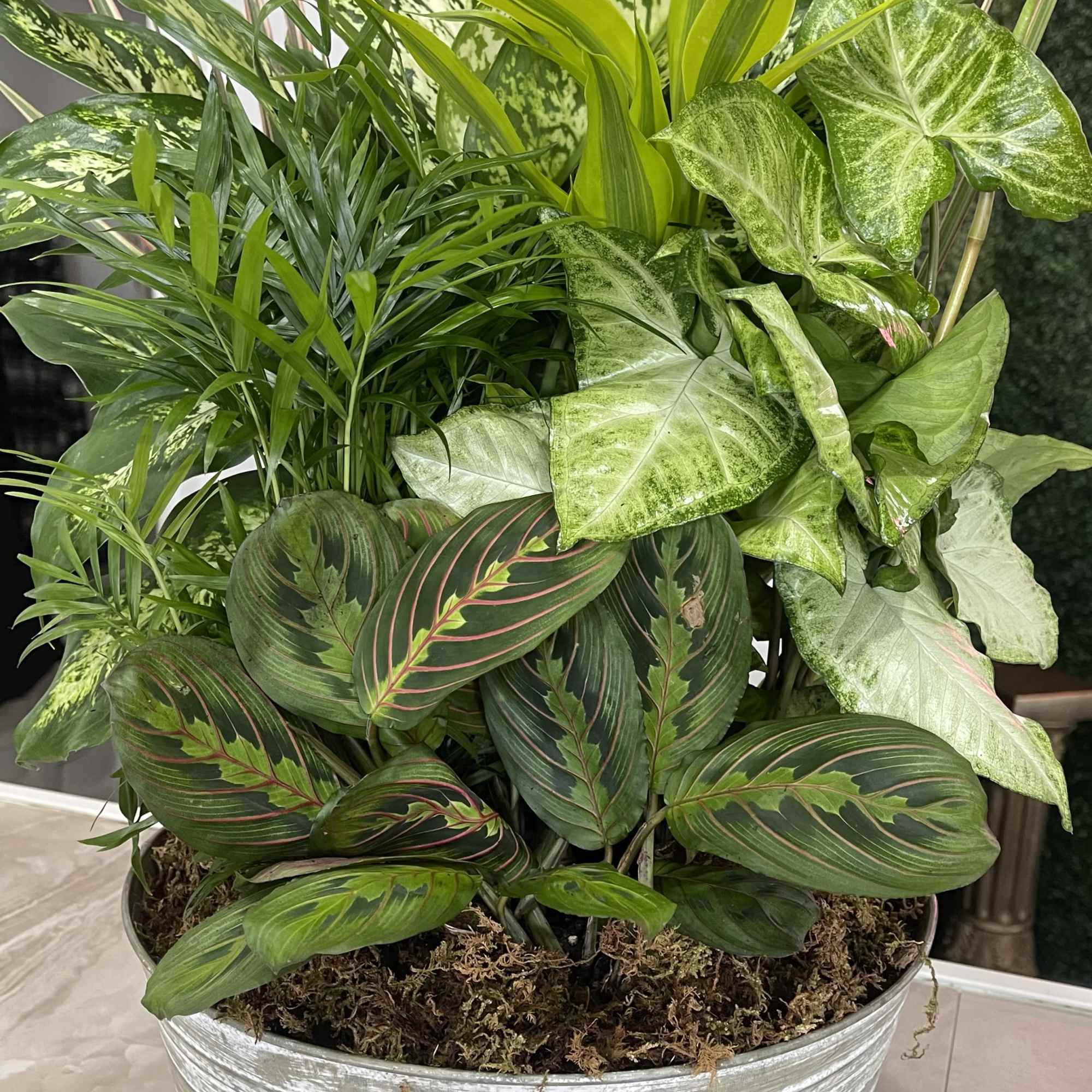 Who says you need to go outside to enjoy the natural beauty