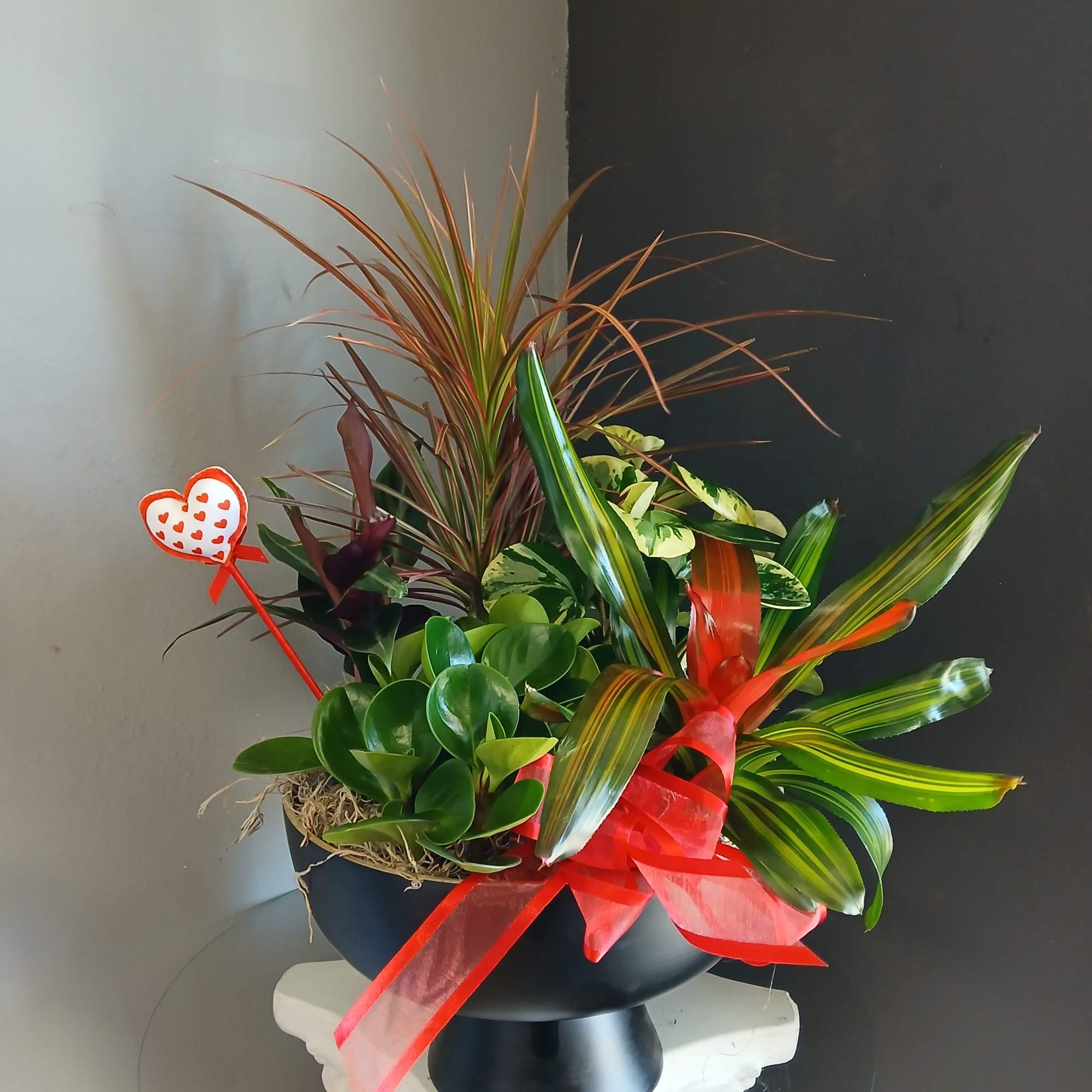 A lovely mix of dracena, two varieties of peperomia, calathea and bromeliad.