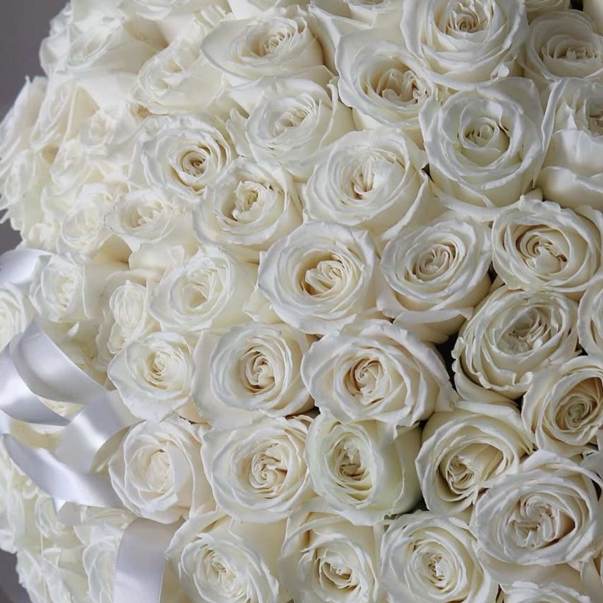 A stunning bouquet of fresh white roses, perfect for any occasion. Wrapped