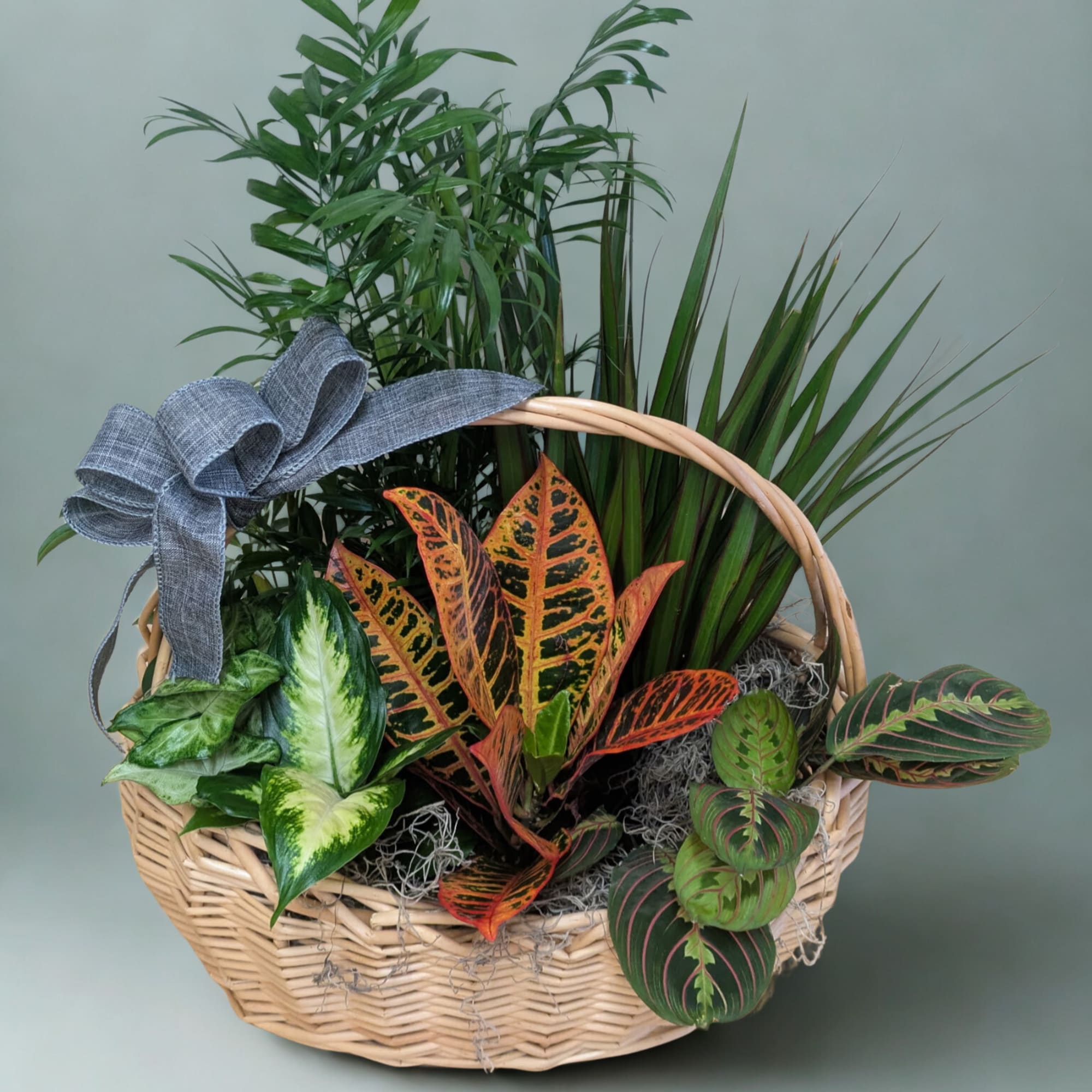 A charming mix of living beauty, thoughtfully gathered in a blonde basket