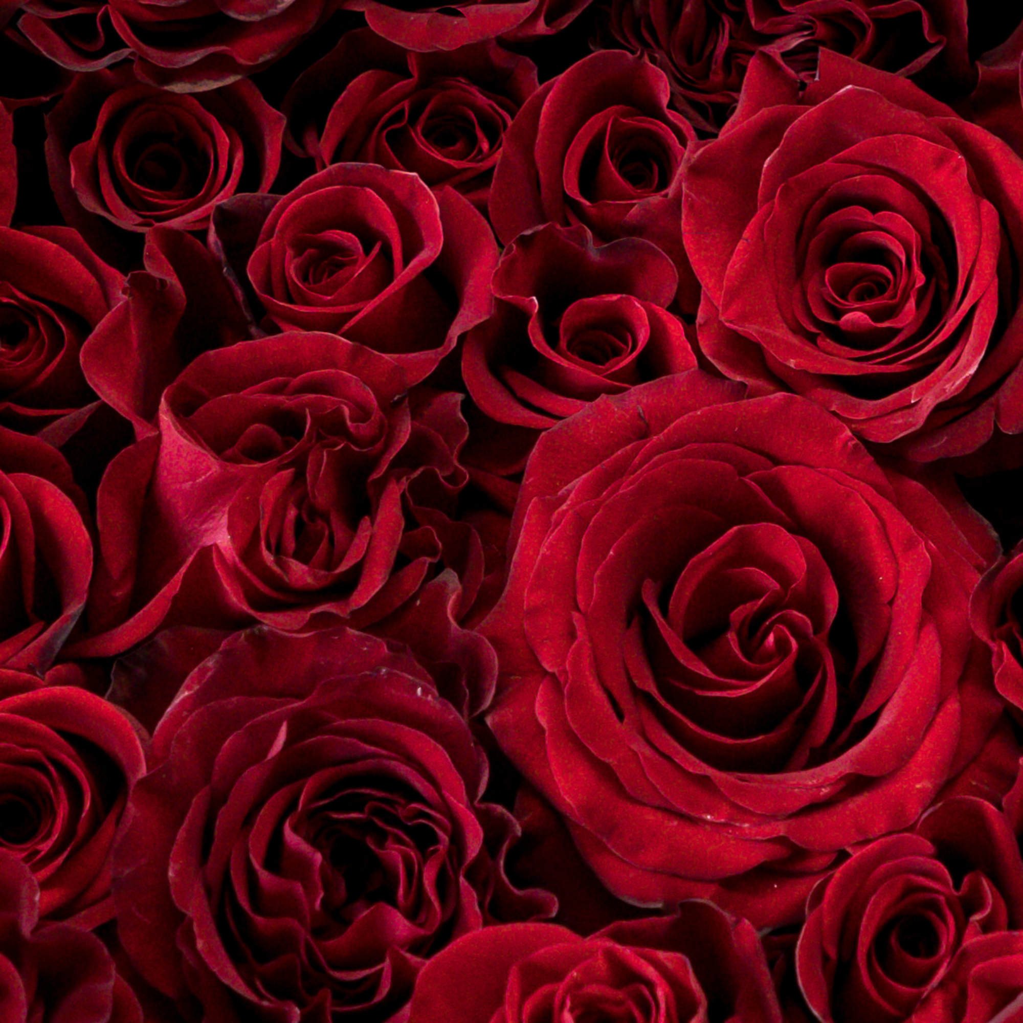 Valentine's Day designer's choice with a modern design sensibility in clear glass.
Our