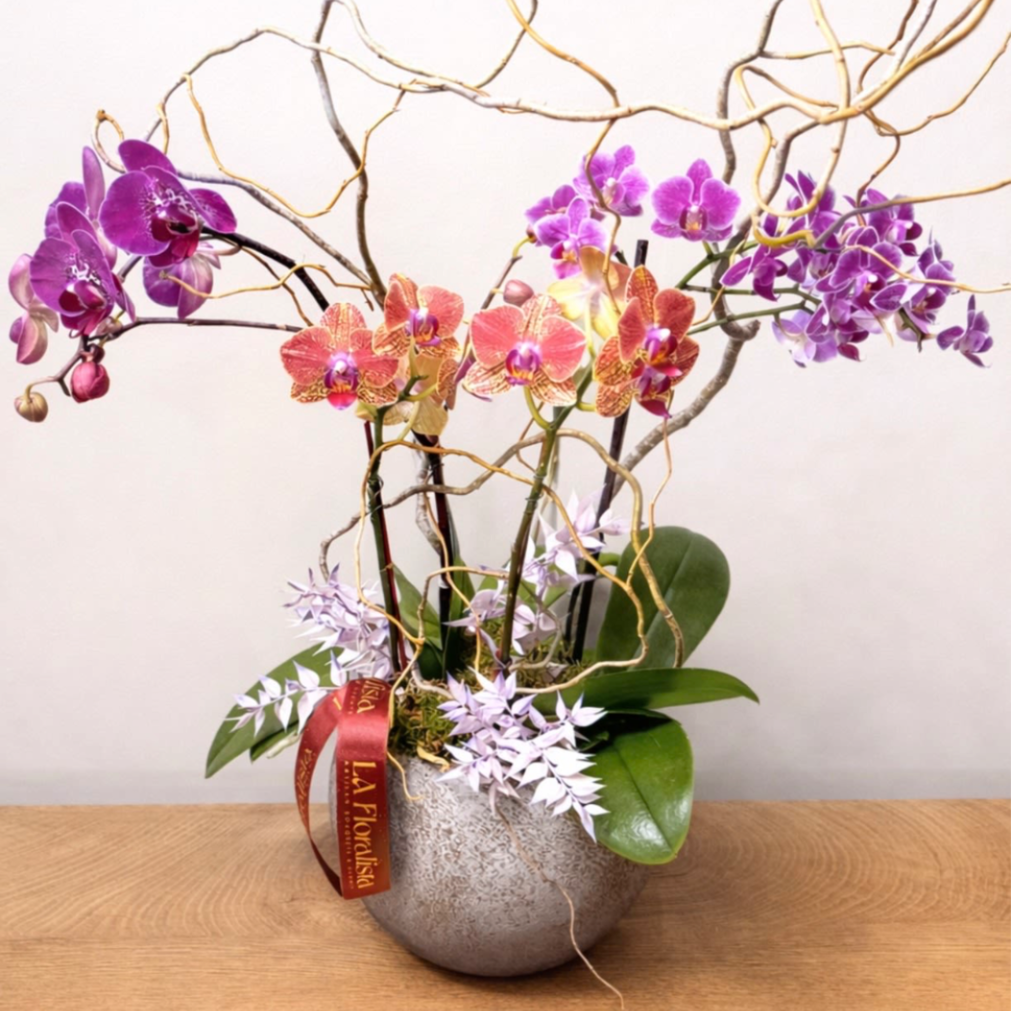Three exotic orchids in a modern concrete planter. Our special edition for