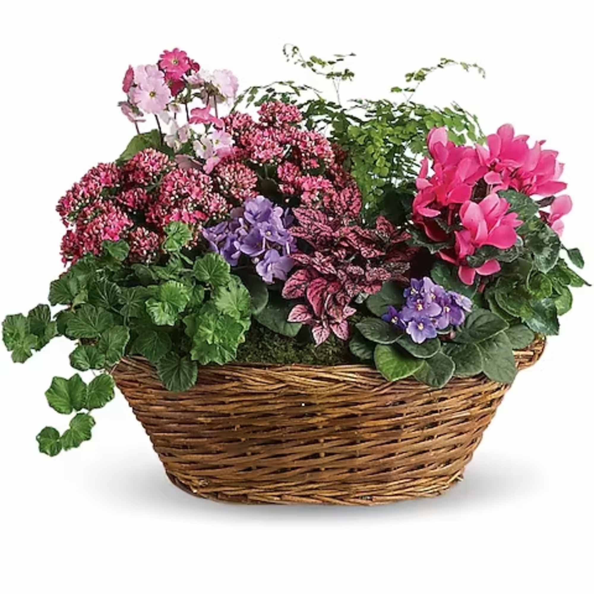 Simply captivating. Simply charming. Simply chic. This pretty basket is overflowing with
