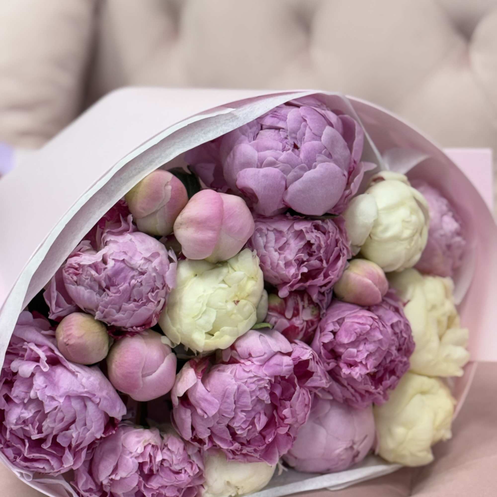A luxurious bouquet of premium peonies (20 stems) in soft blush pink