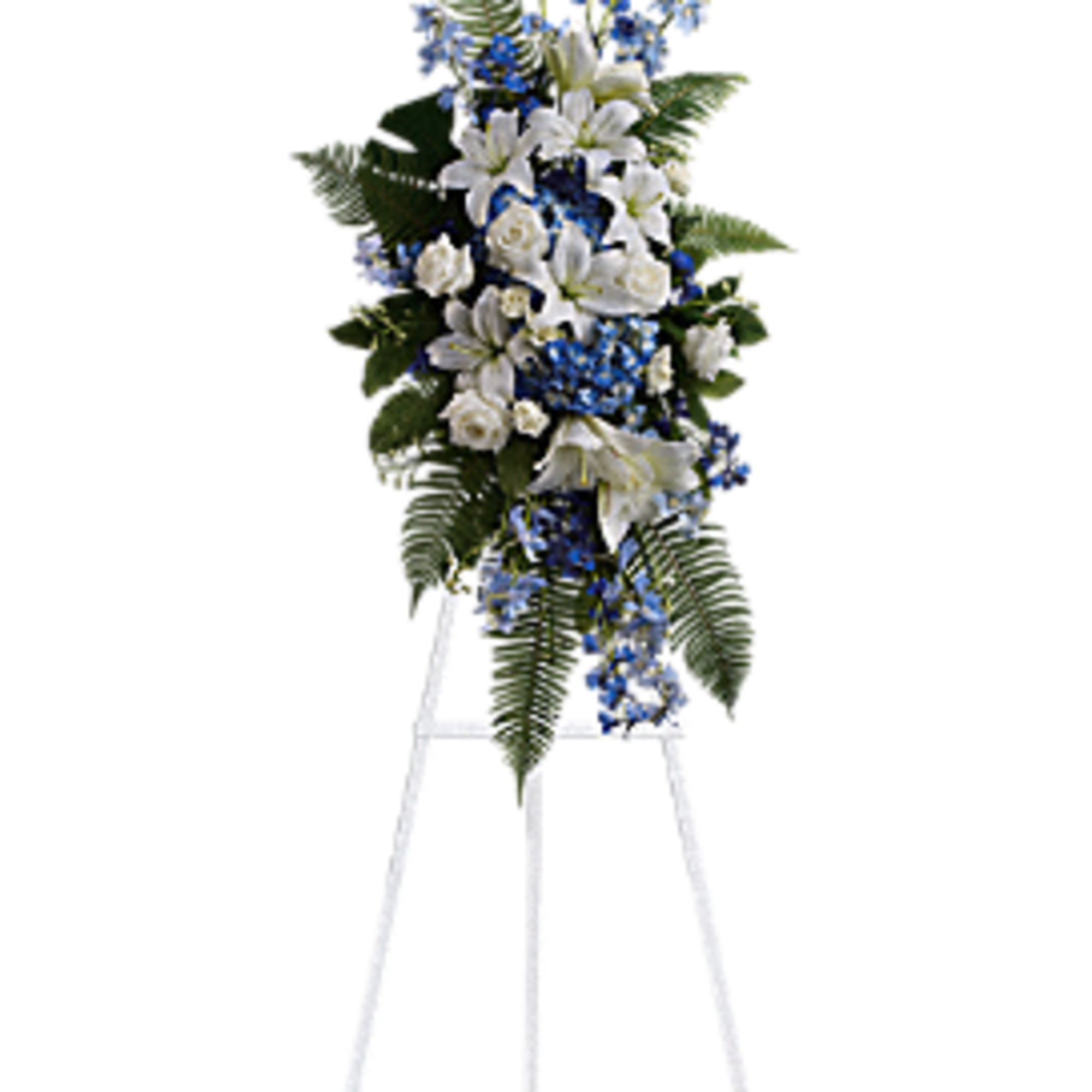 Tranquil blue and white flowers reminiscent of a soft ocean breeze offer