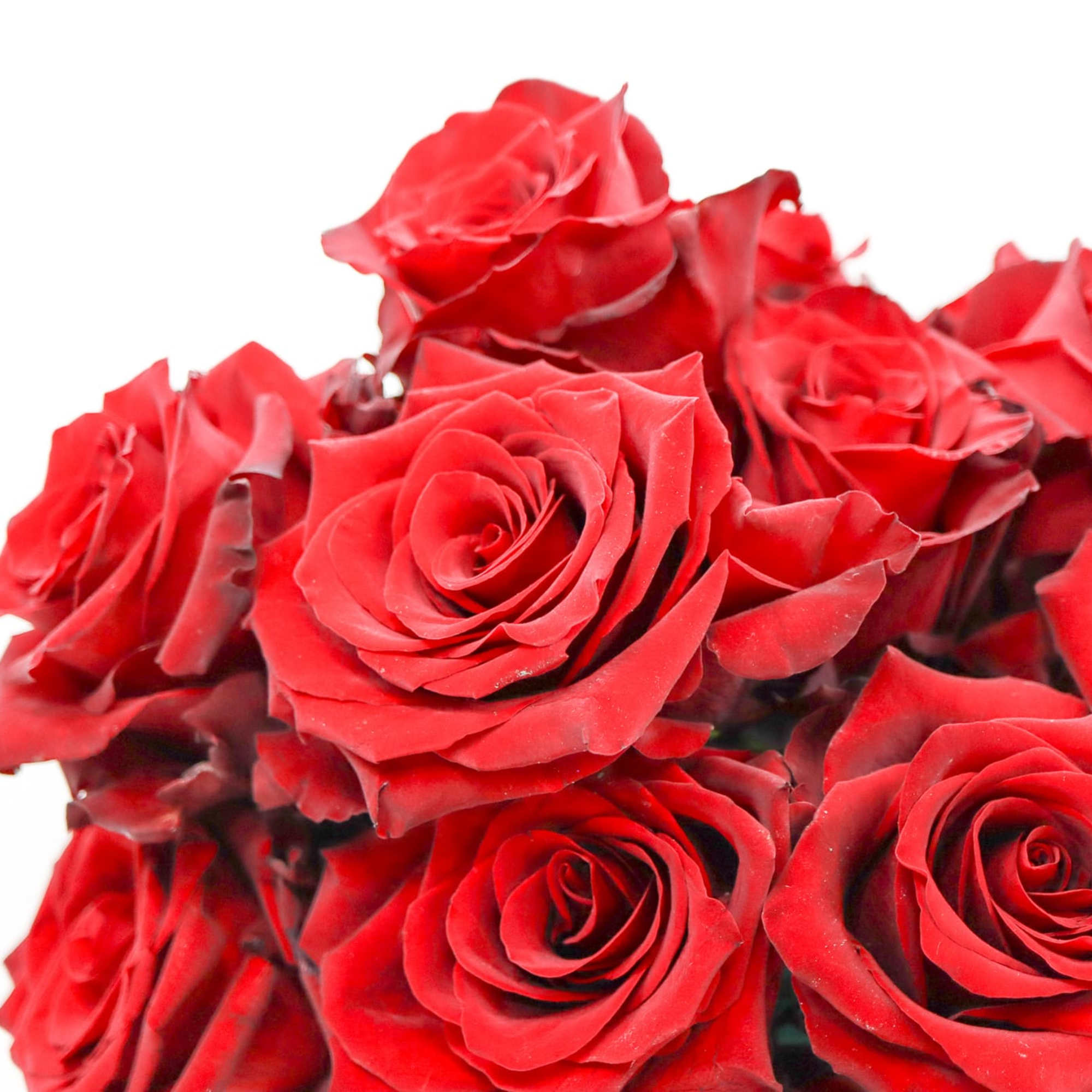 Red roses are the traditional symbol for love and romance, and a
