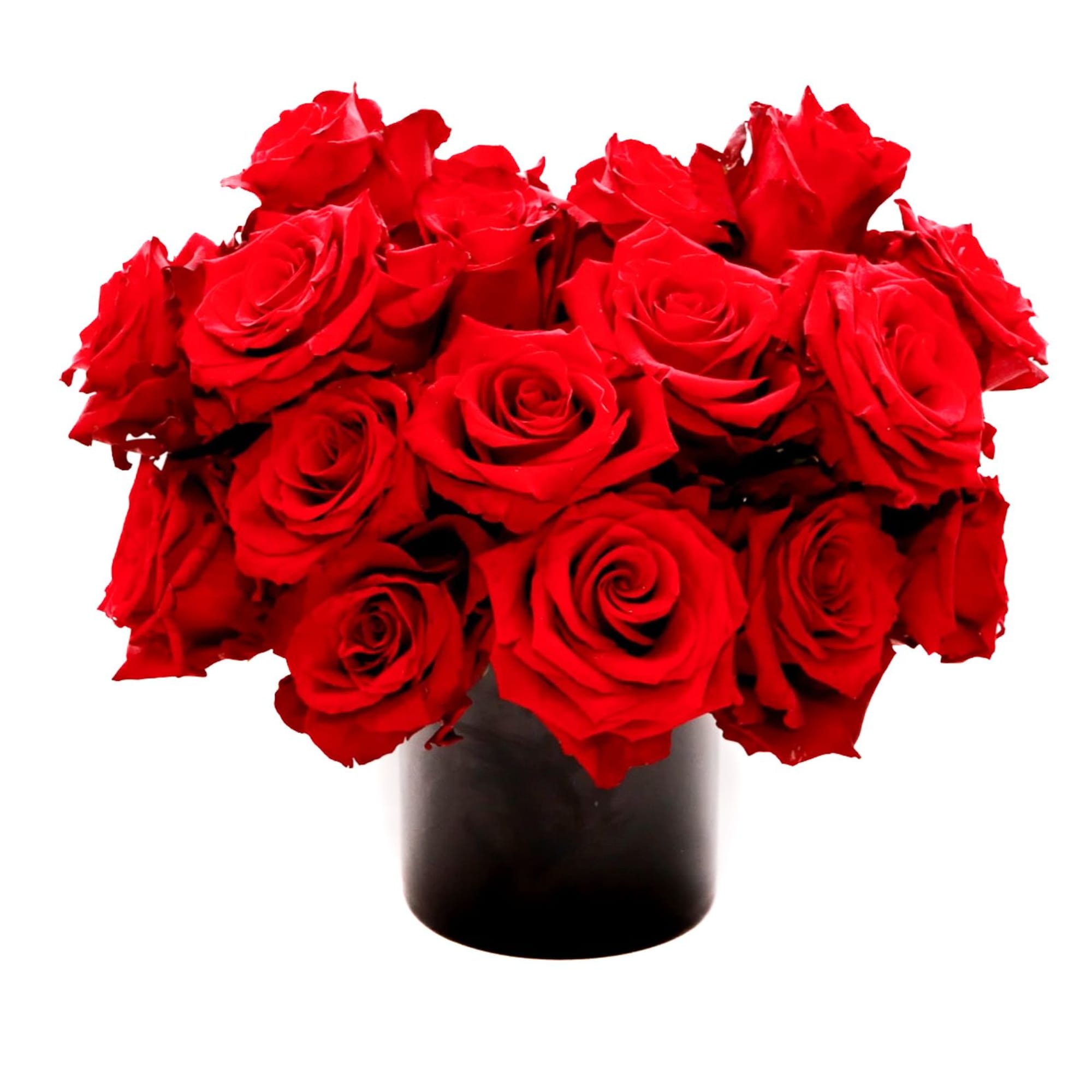 Red roses are the traditional symbol for love and romance, and a
