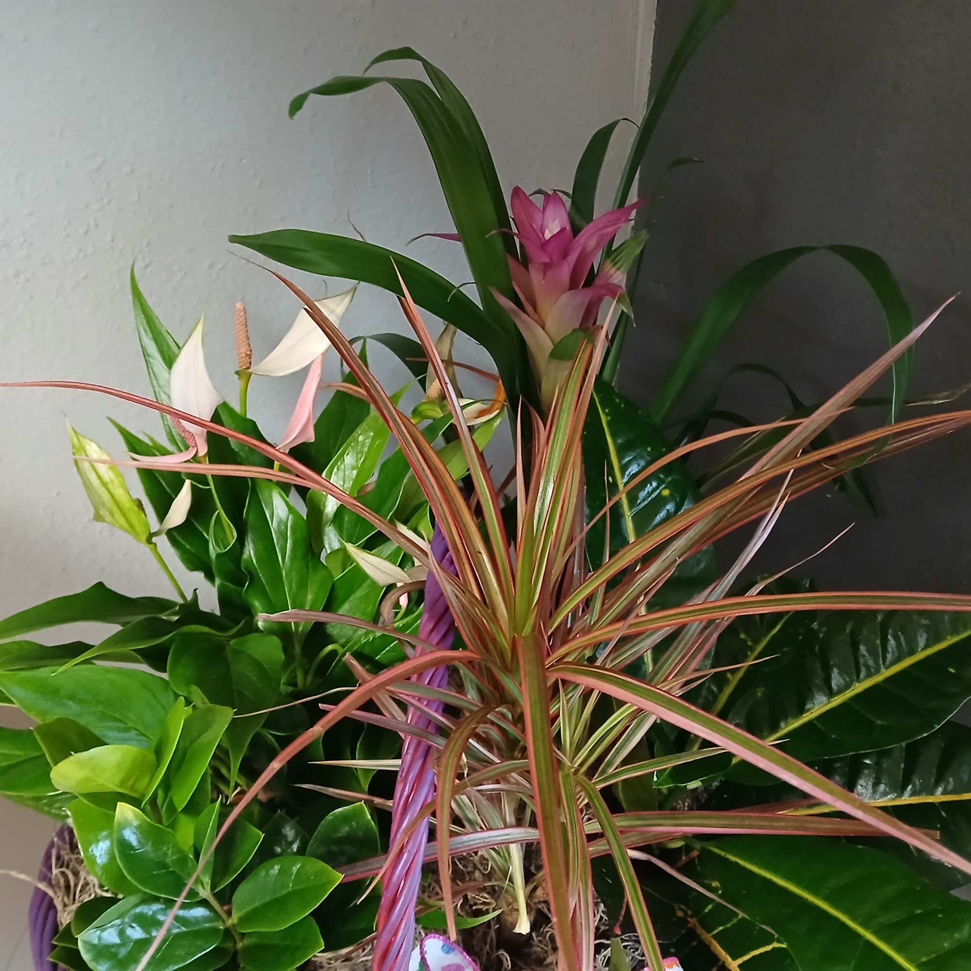 Sweet, lovely and plentiful..this basket is full of fresh green and blooming